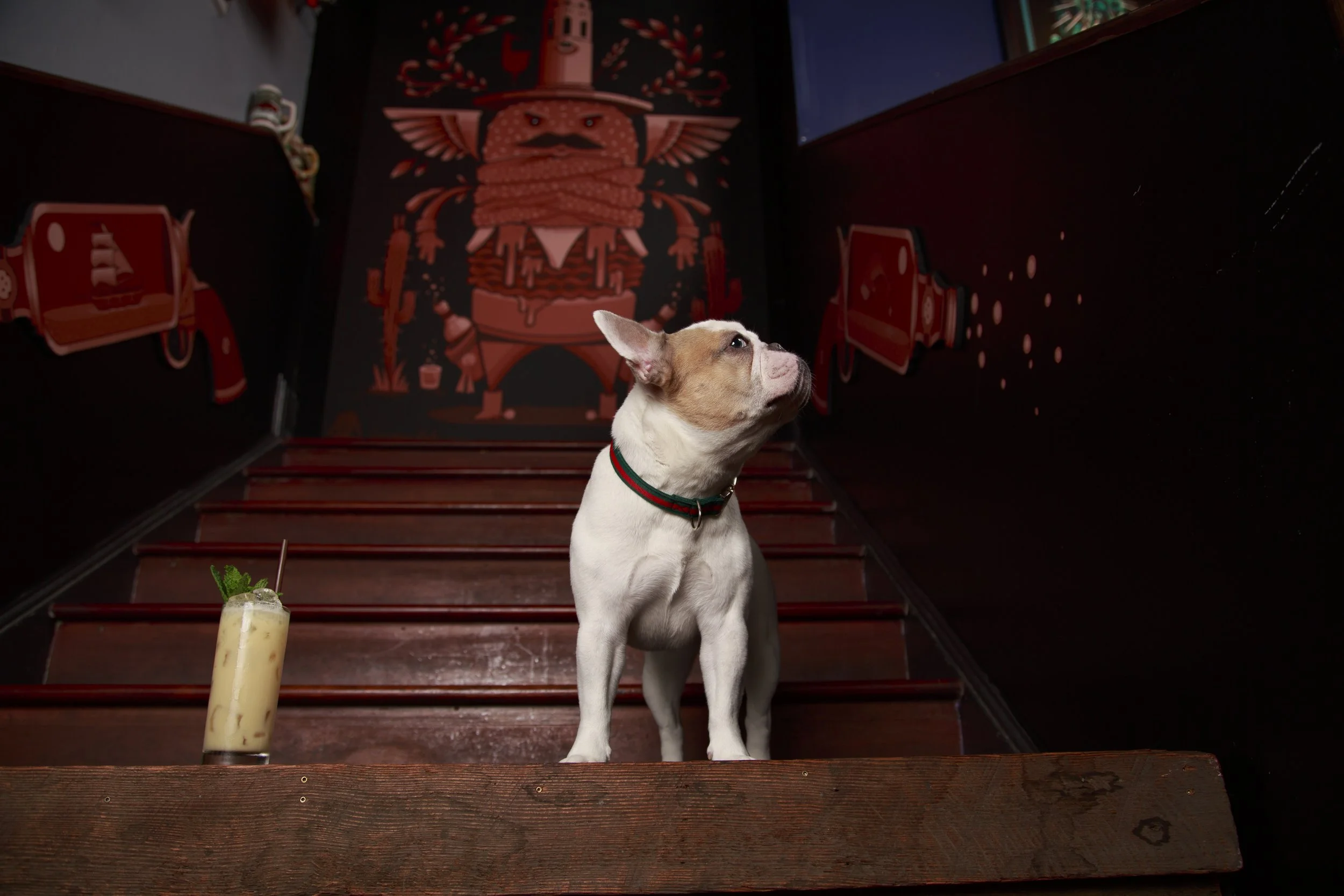 Dog Calendar_Laura_showdown-4491.jpg