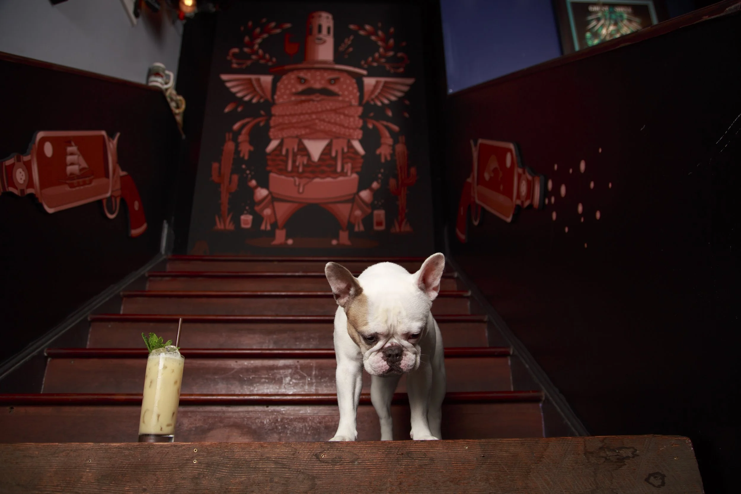 Dog Calendar_Laura_showdown-4492.jpg