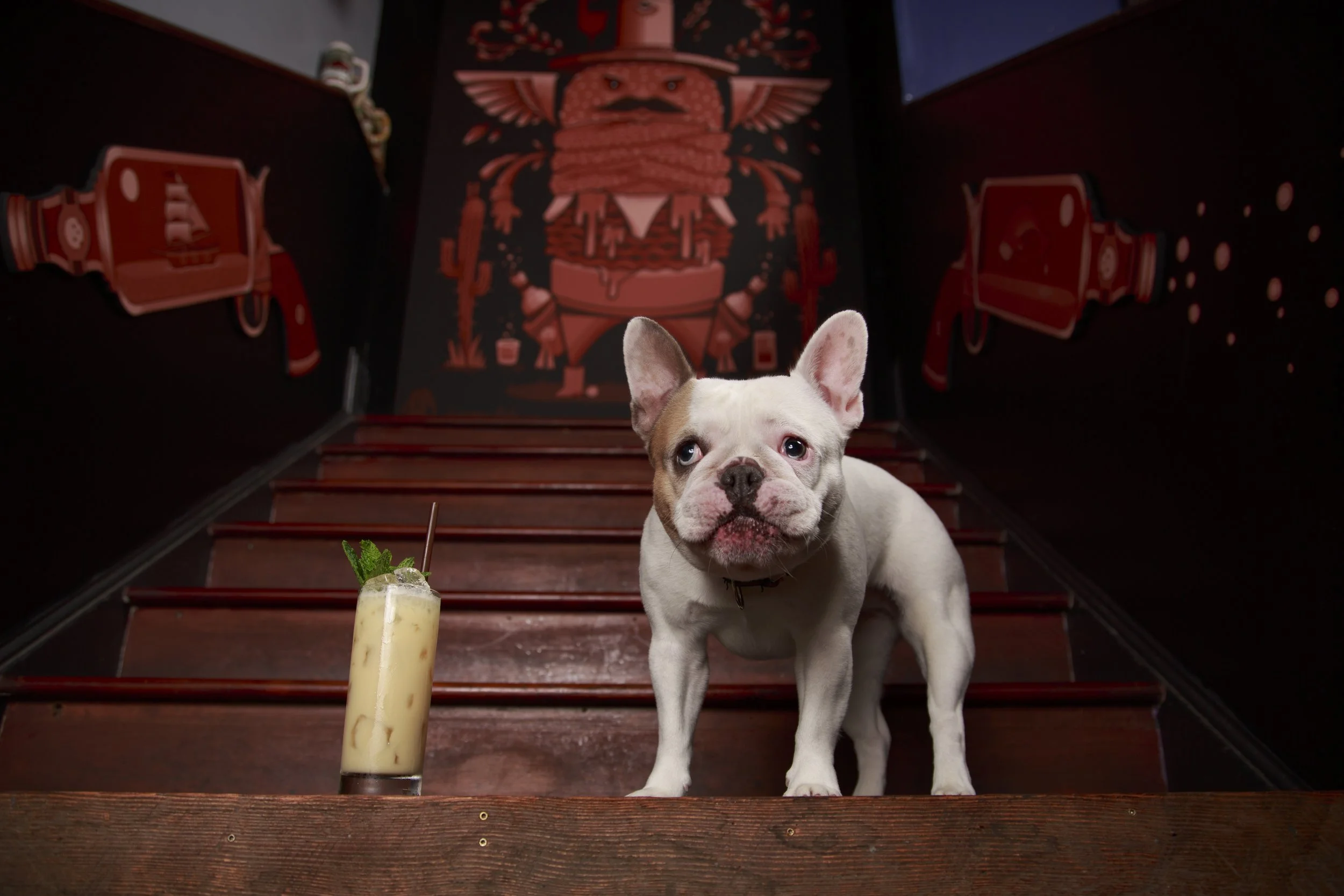 Dog Calendar_Laura_showdown-4496.jpg