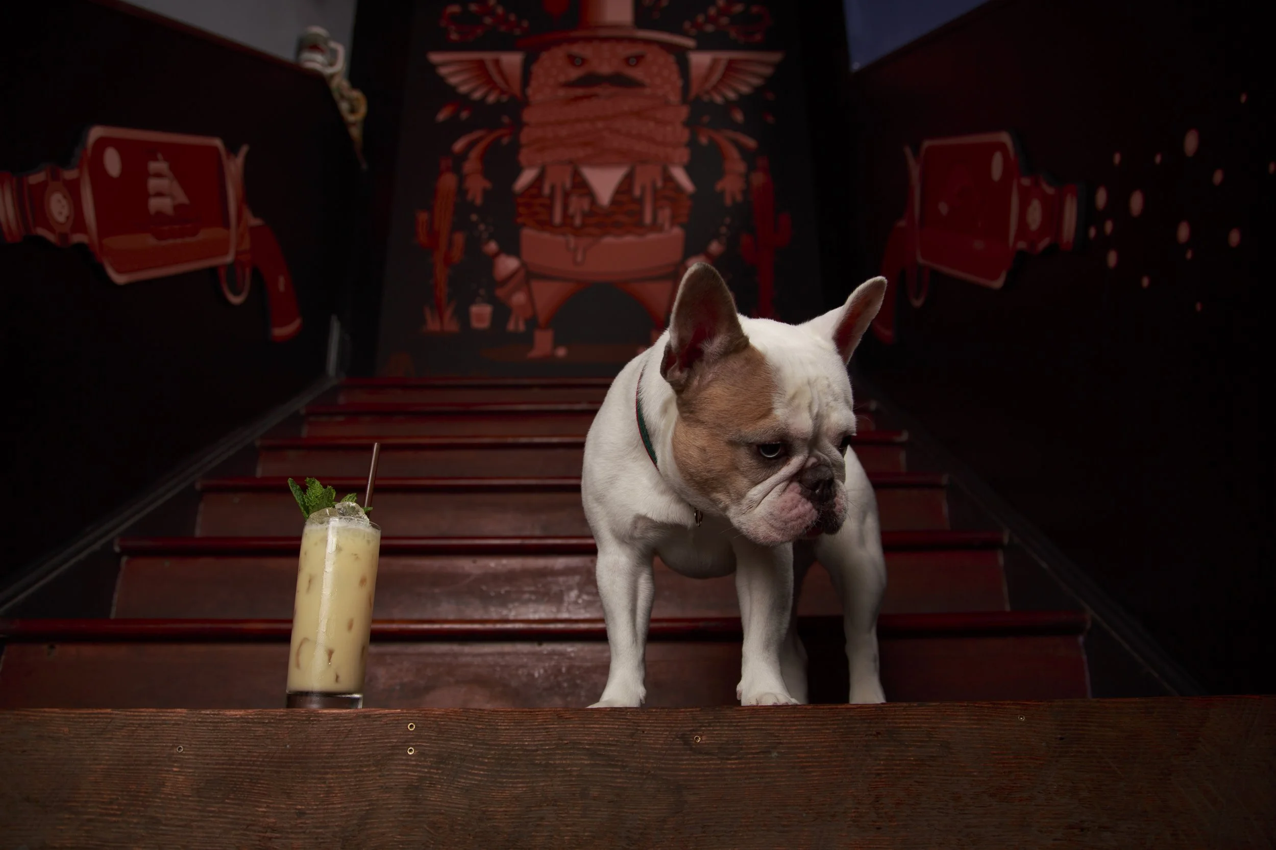 Dog Calendar_Laura_showdown-4497.jpg