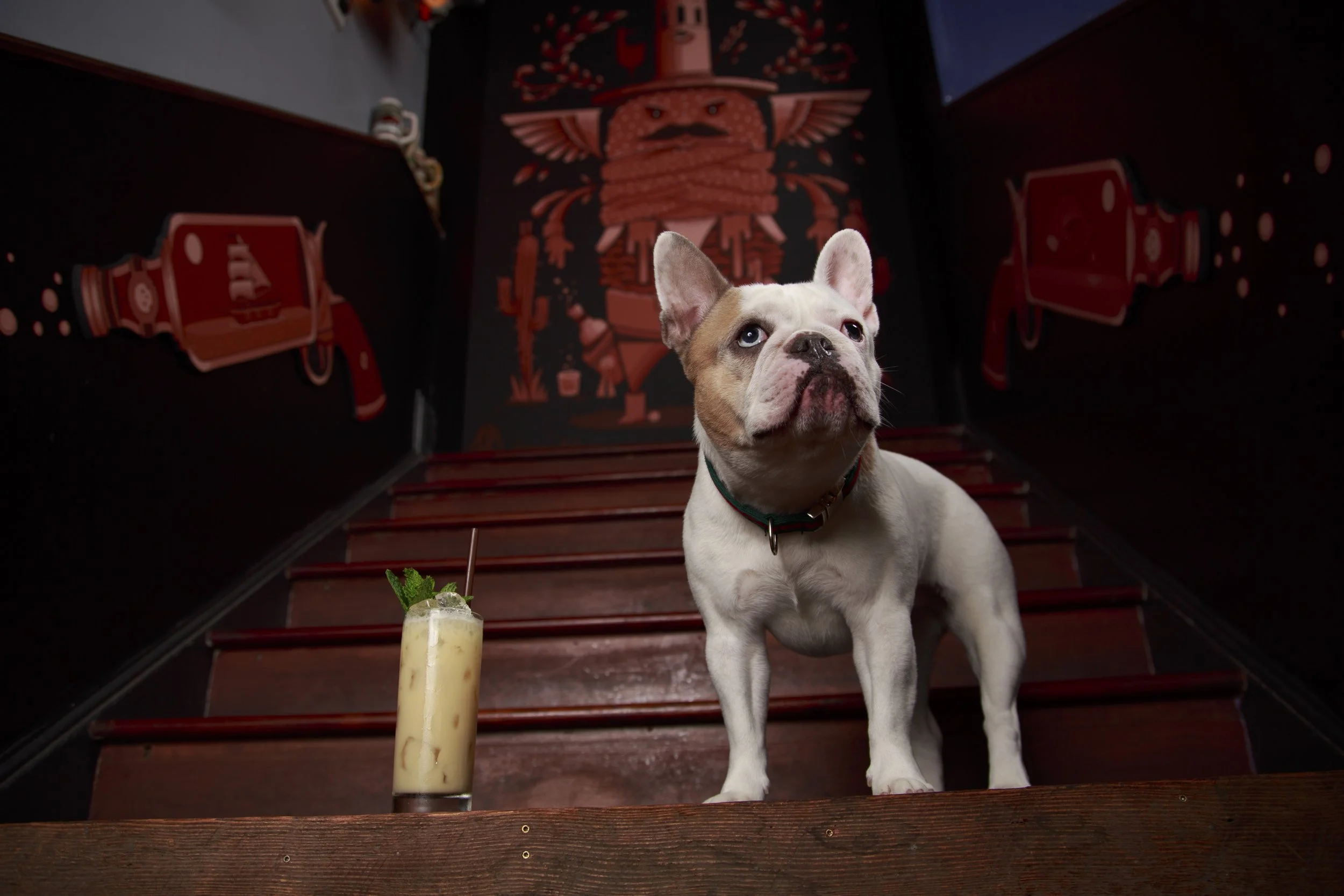 Dog Calendar_Laura_showdown-4499.jpg