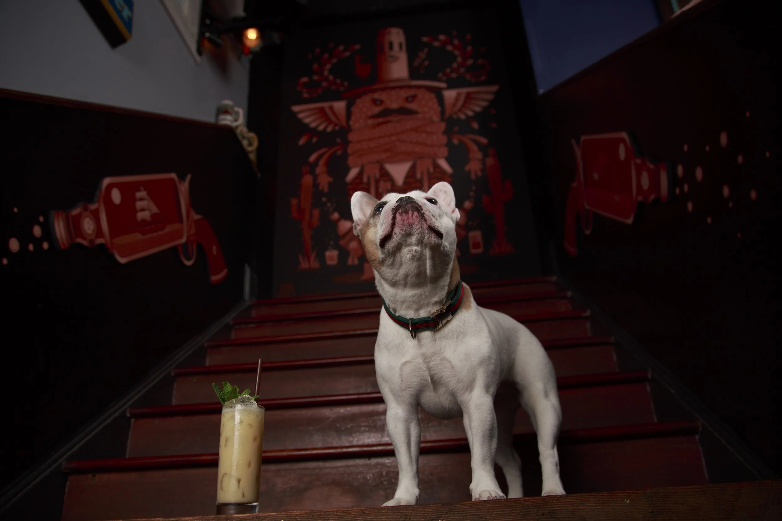 Dog Calendar_Laura_showdown-4501.jpg