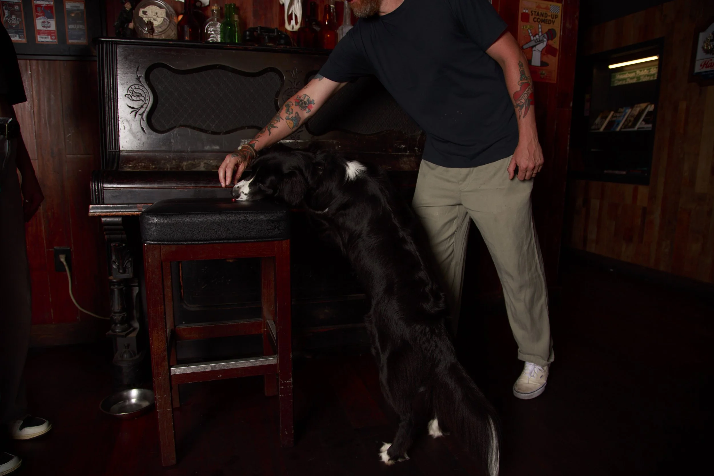 Dog Calendar_Jake_showdown-4396.jpg