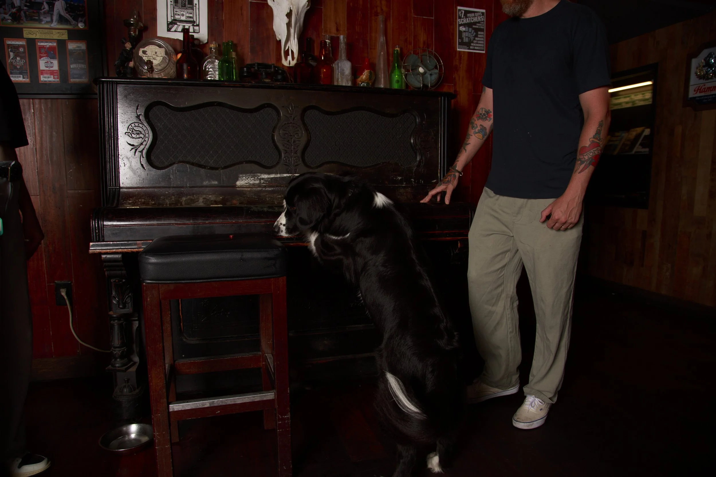 Dog Calendar_Jake_showdown-4395.jpg