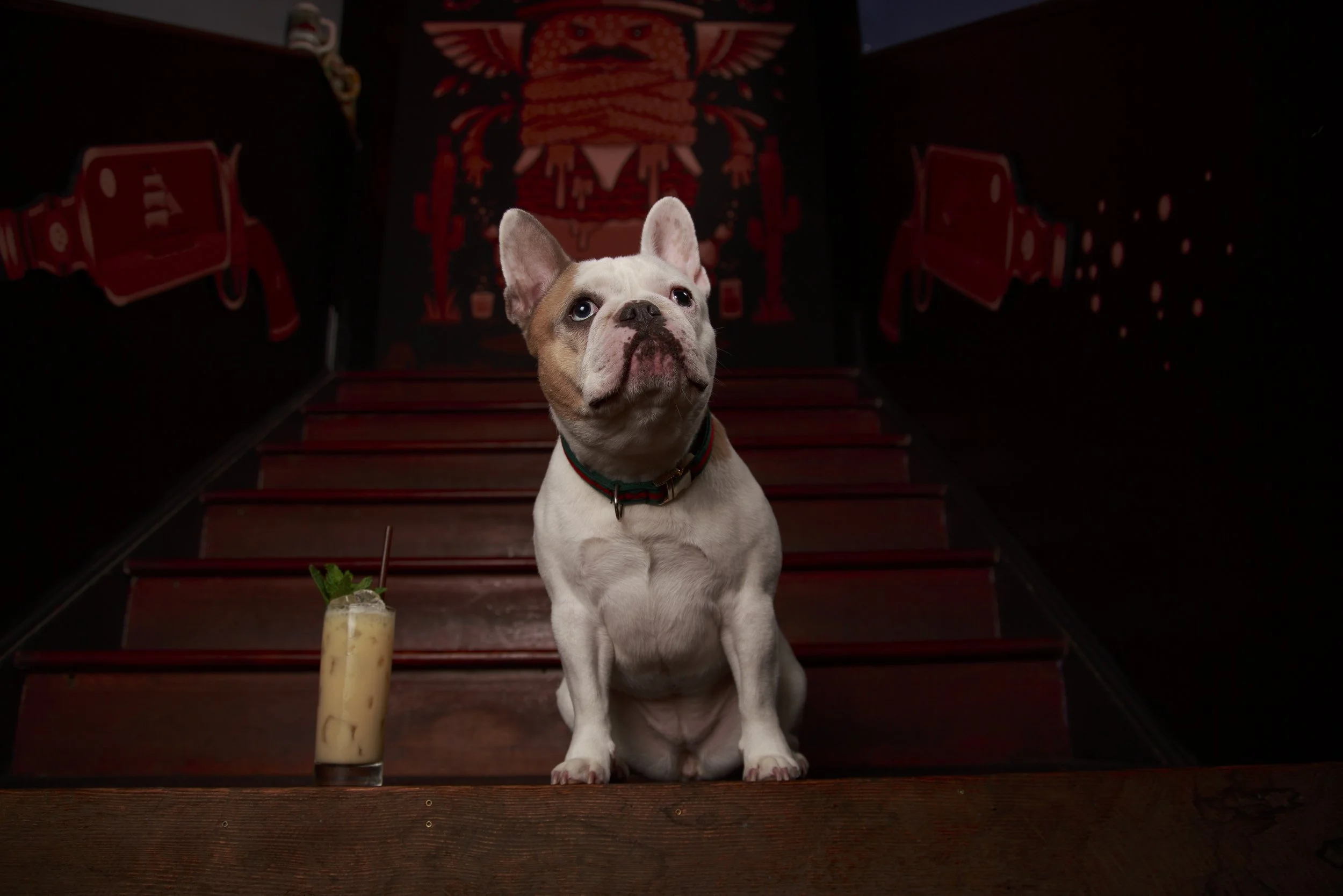 Dog Calendar_Laura_showdown-4505.jpg