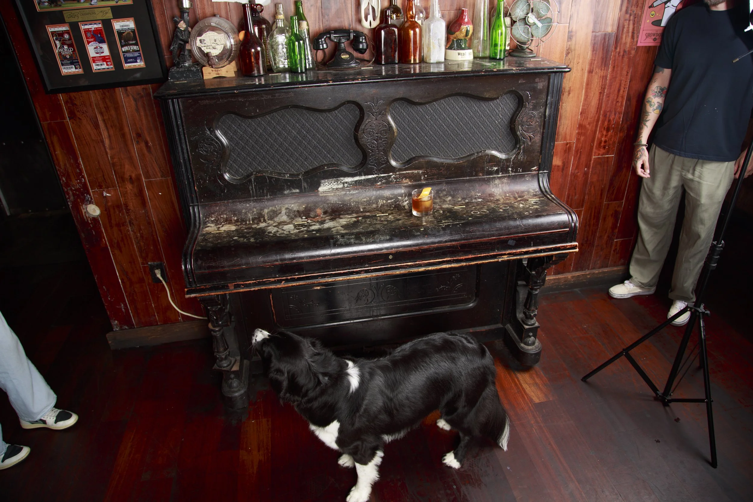 Dog Calendar_Jake_showdown-4405.jpg