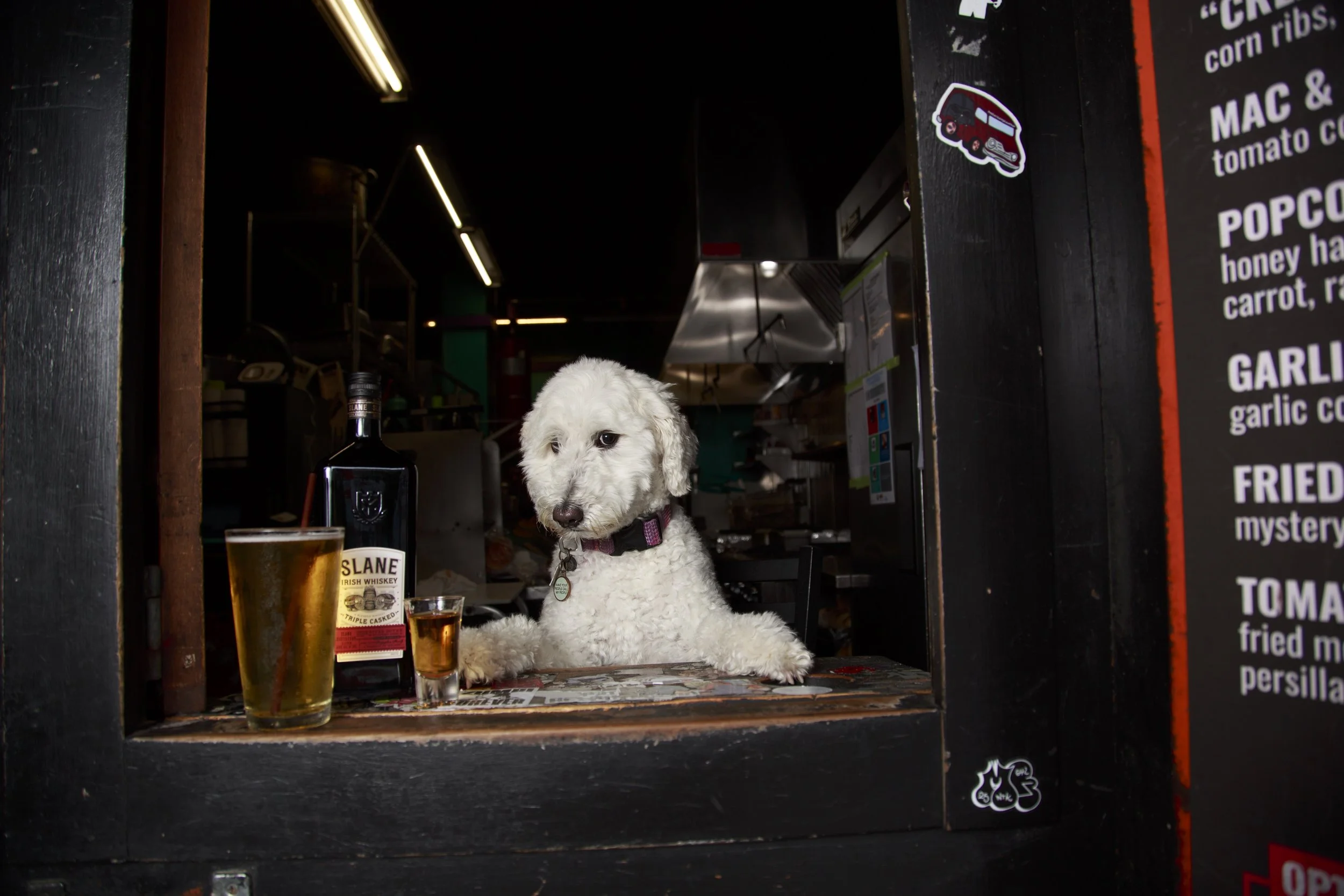 Dog Calendar_Joey_Echo-4094.jpg