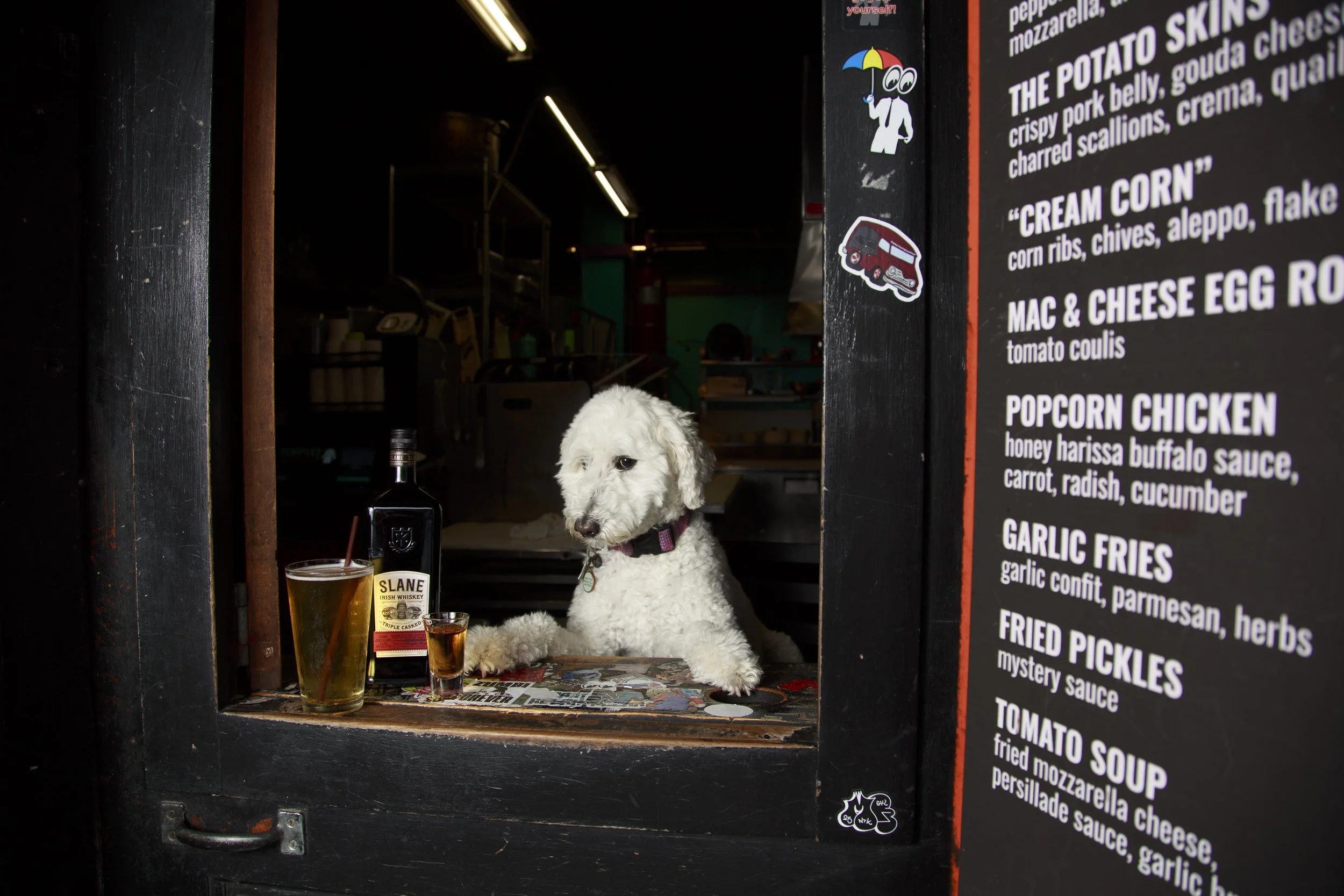 Dog Calendar_Joey_Echo-4096.jpg