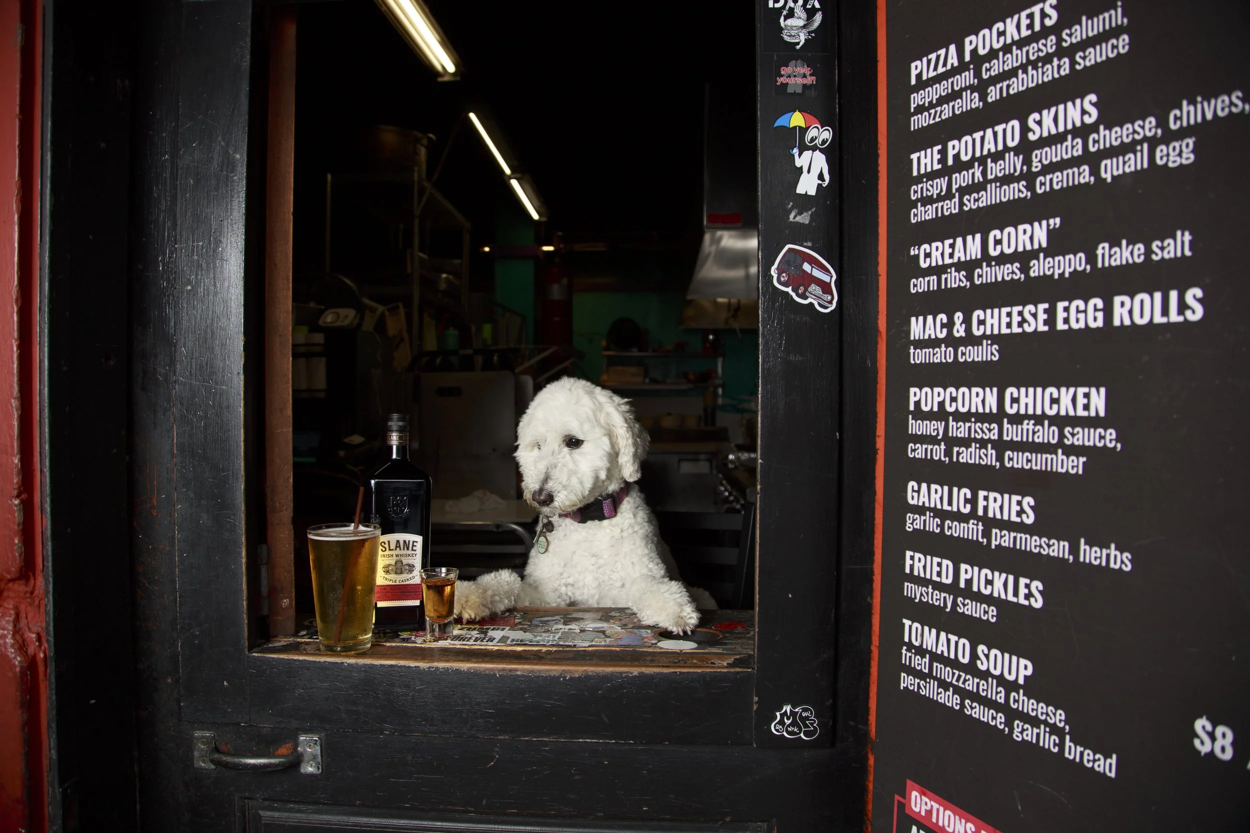 Dog Calendar_Joey_Echo-4095.jpg