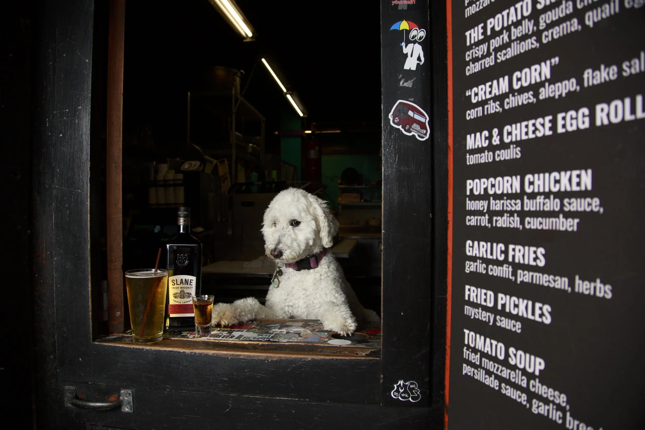 Dog Calendar_Joey_Echo-4097.jpg