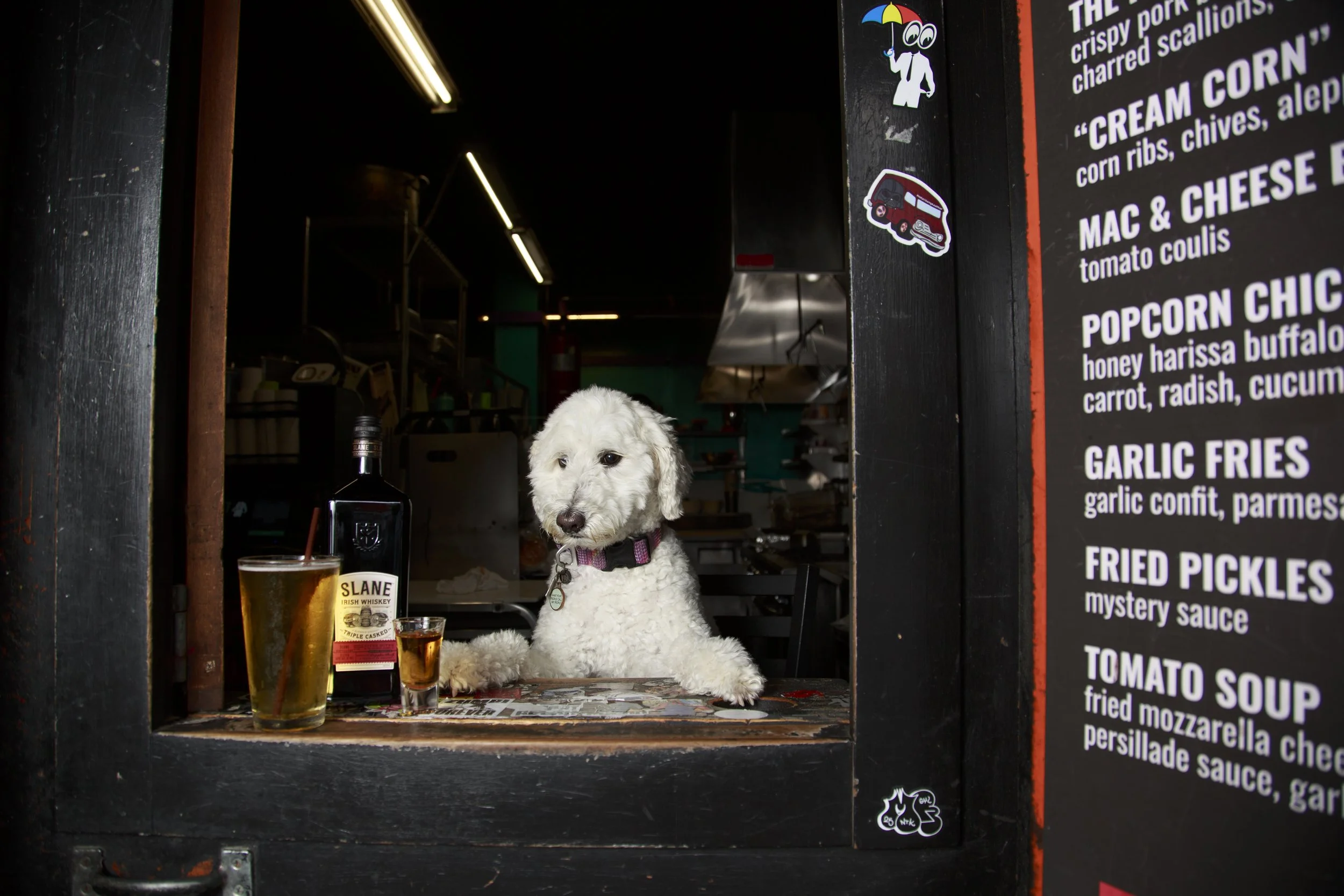 Dog Calendar_Joey_Echo-4099.jpg