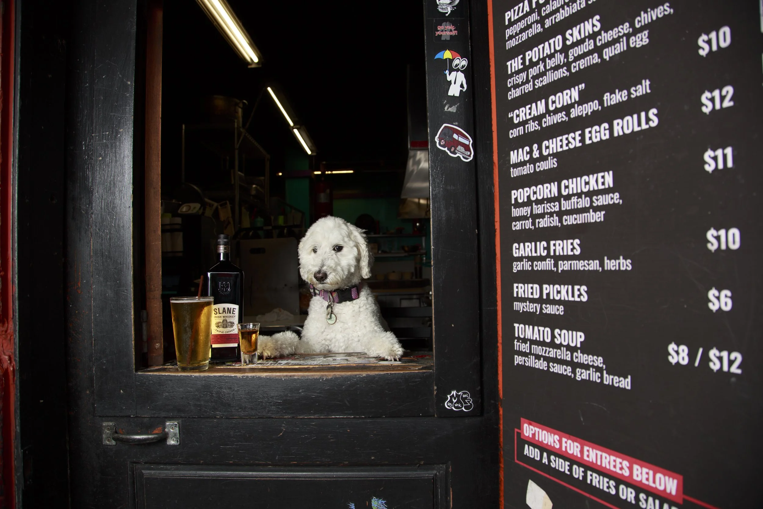 Dog Calendar_Joey_Echo-4102.jpg