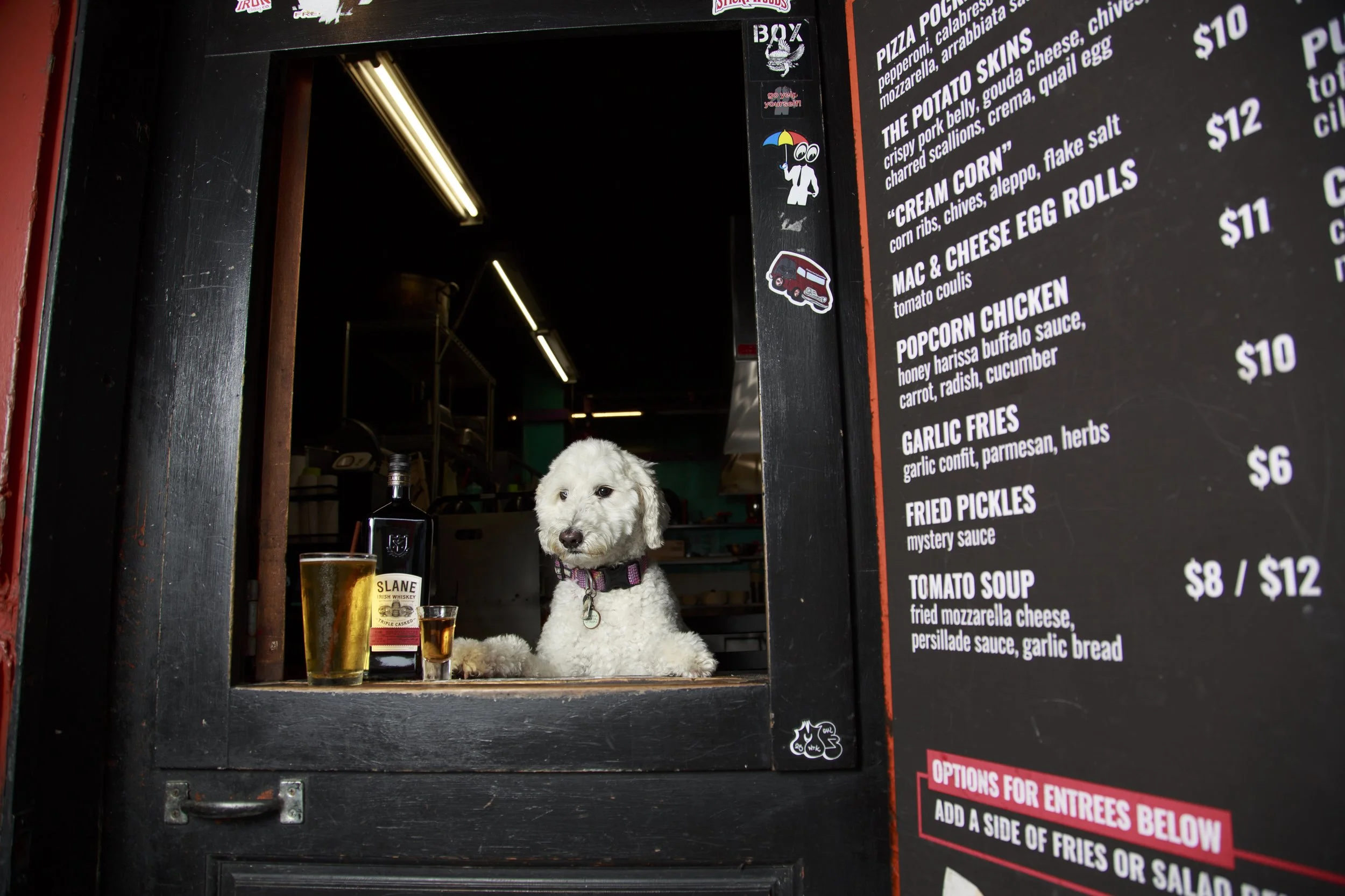 Dog Calendar_Joey_Echo-4103.jpg