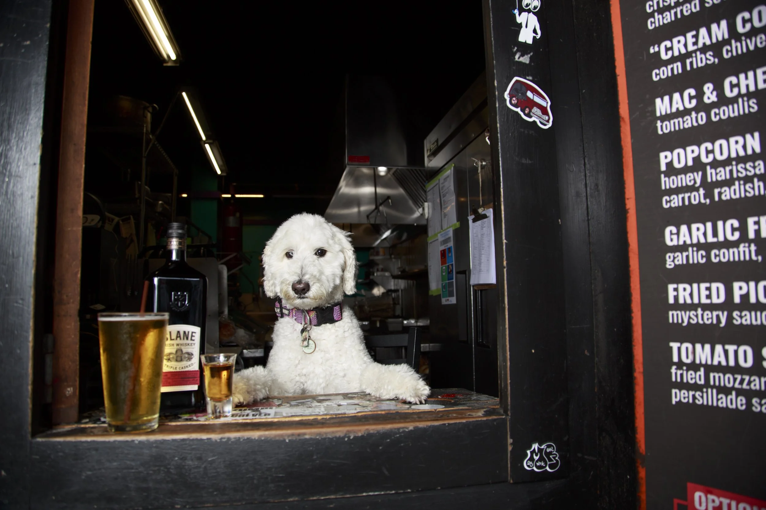 Dog Calendar_Joey_Echo-4105.jpg