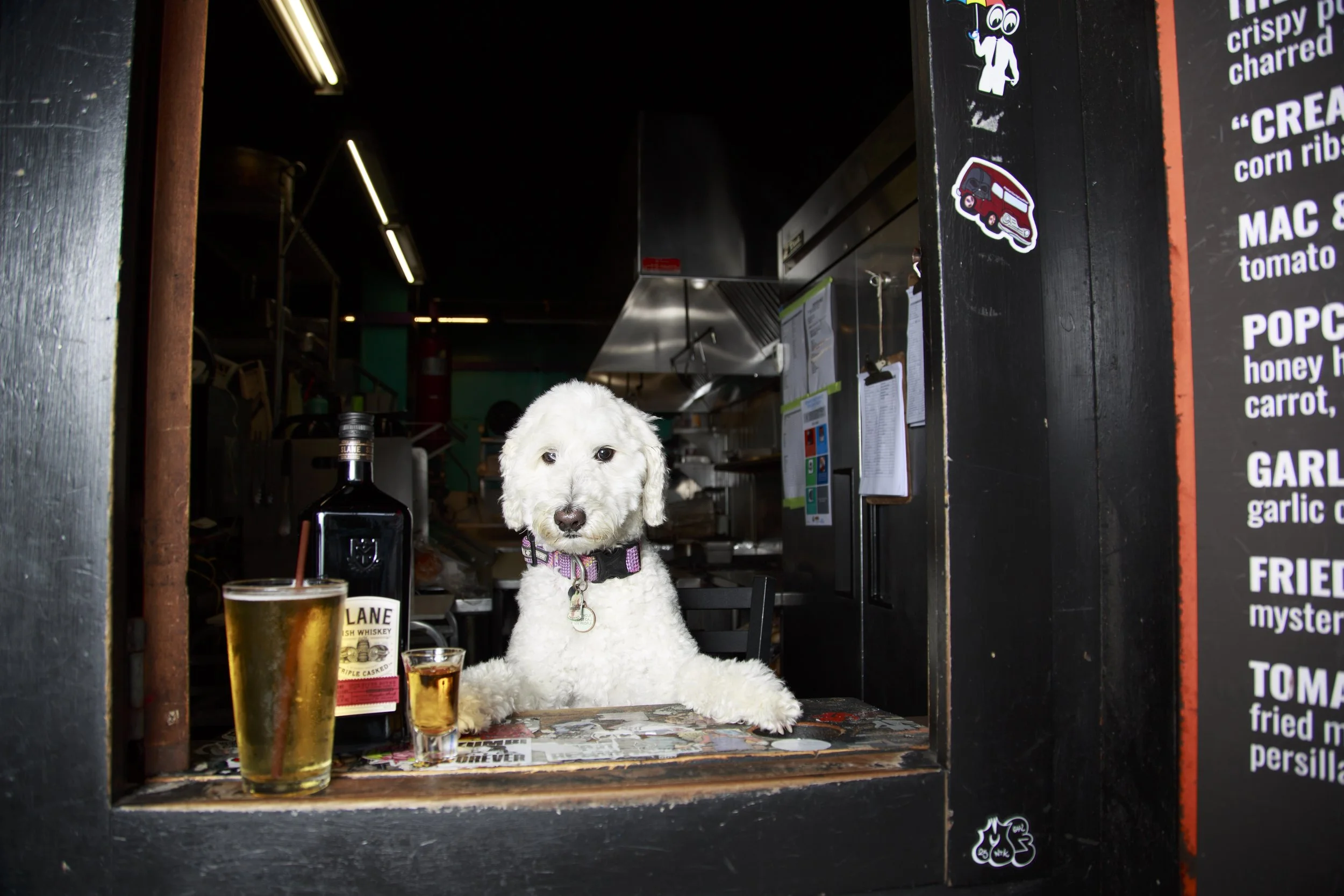 Dog Calendar_Joey_Echo-4106.jpg