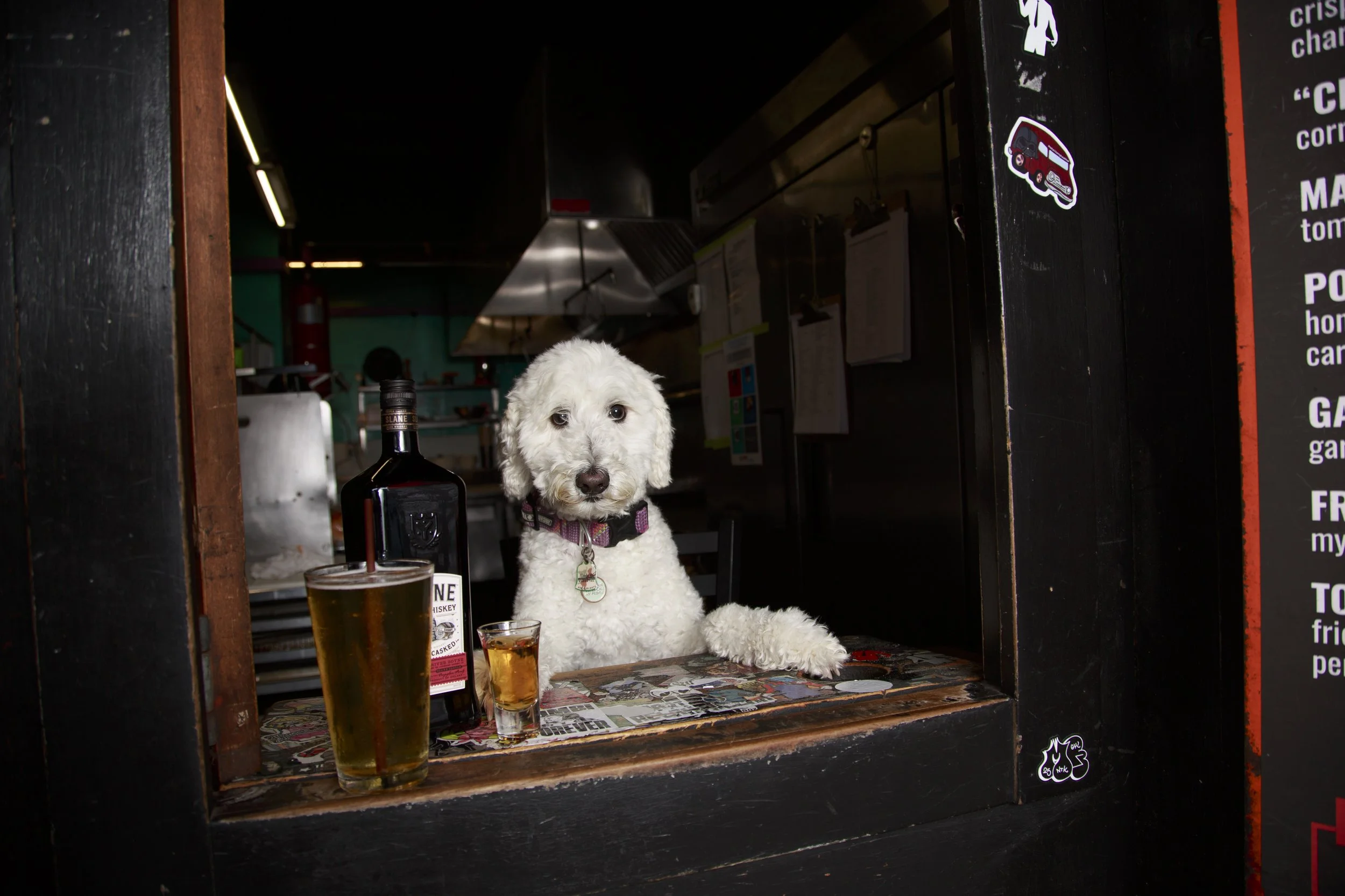 Dog Calendar_Joey_Echo-4108.jpg