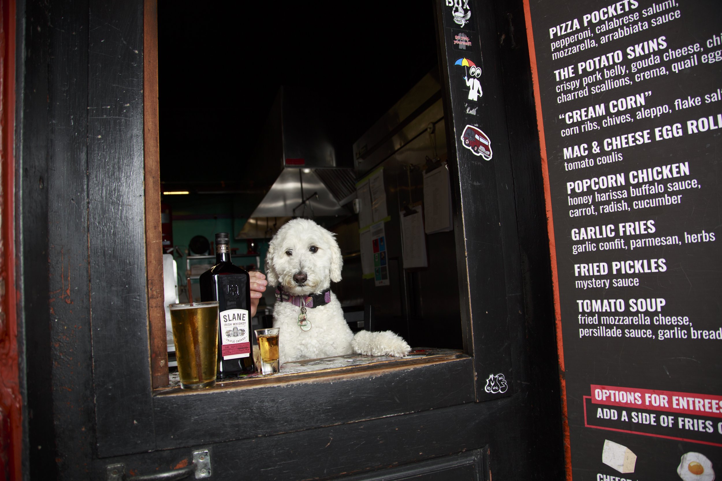 Dog Calendar_Joey_Echo-4112.jpg