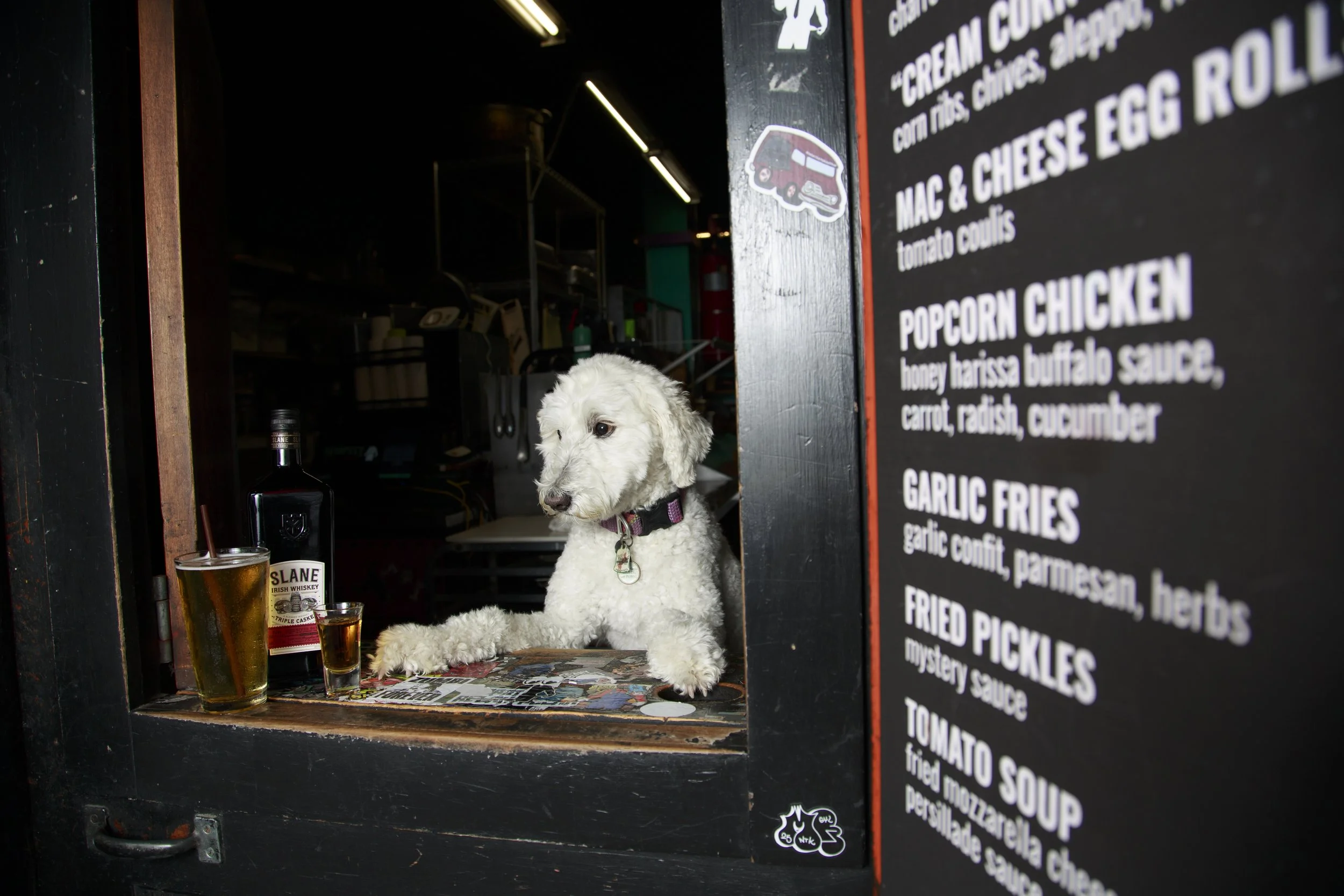 Dog Calendar_Joey_Echo-4118.jpg