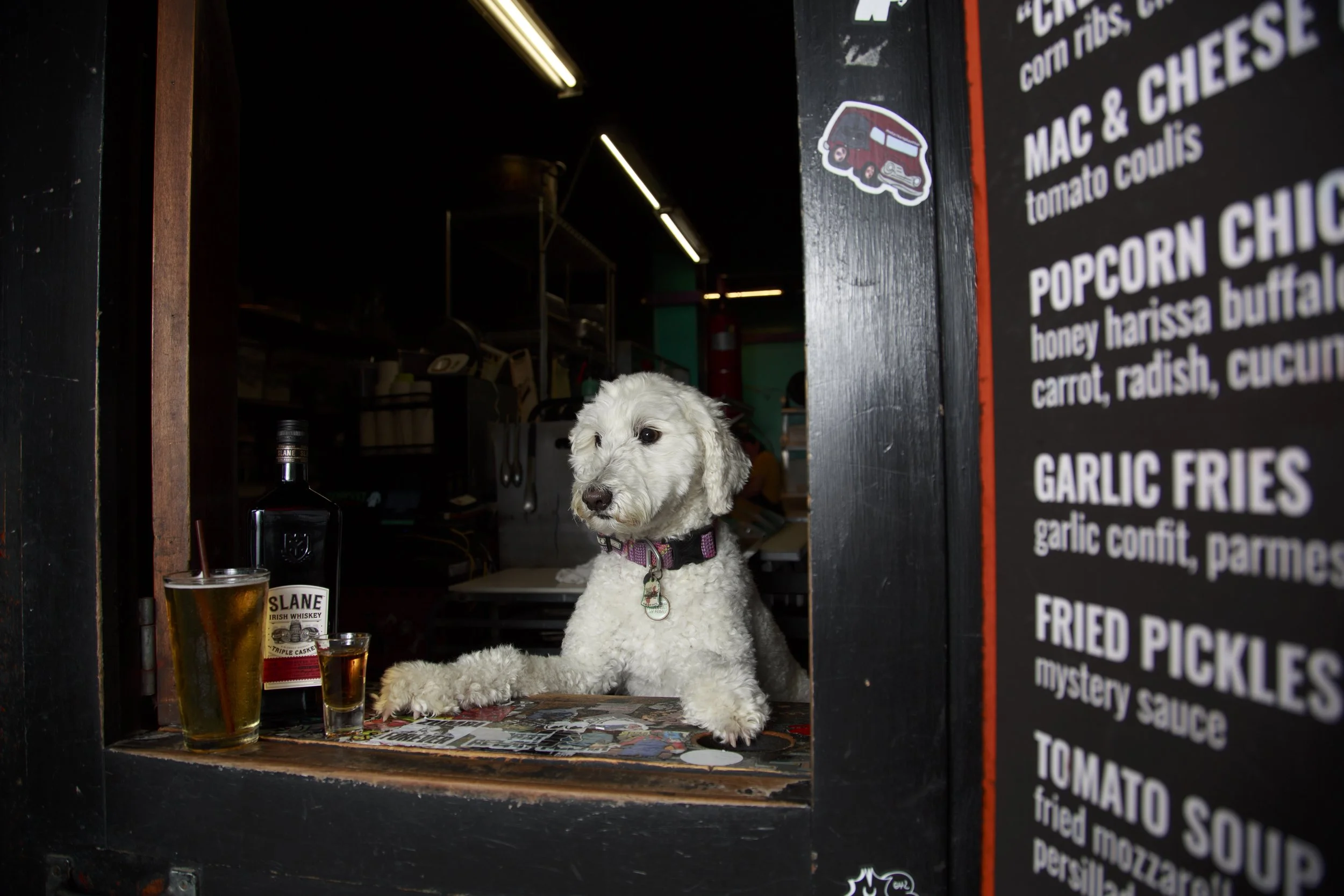 Dog Calendar_Joey_Echo-4122.jpg