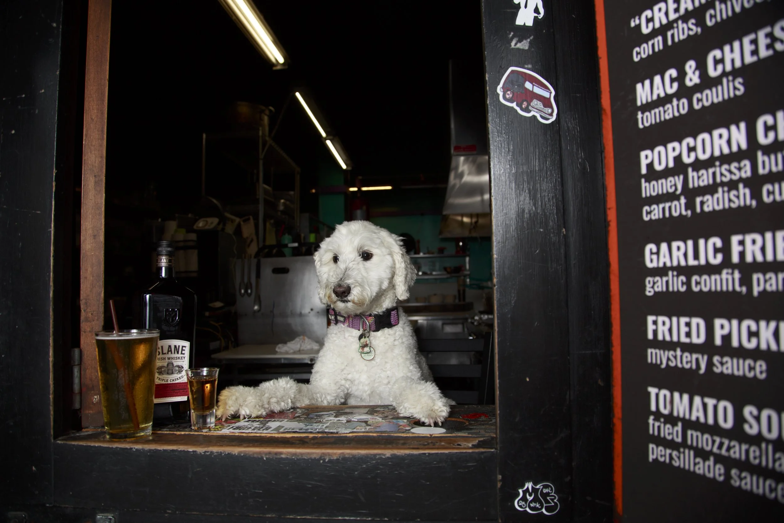 Dog Calendar_Joey_Echo-4125.jpg