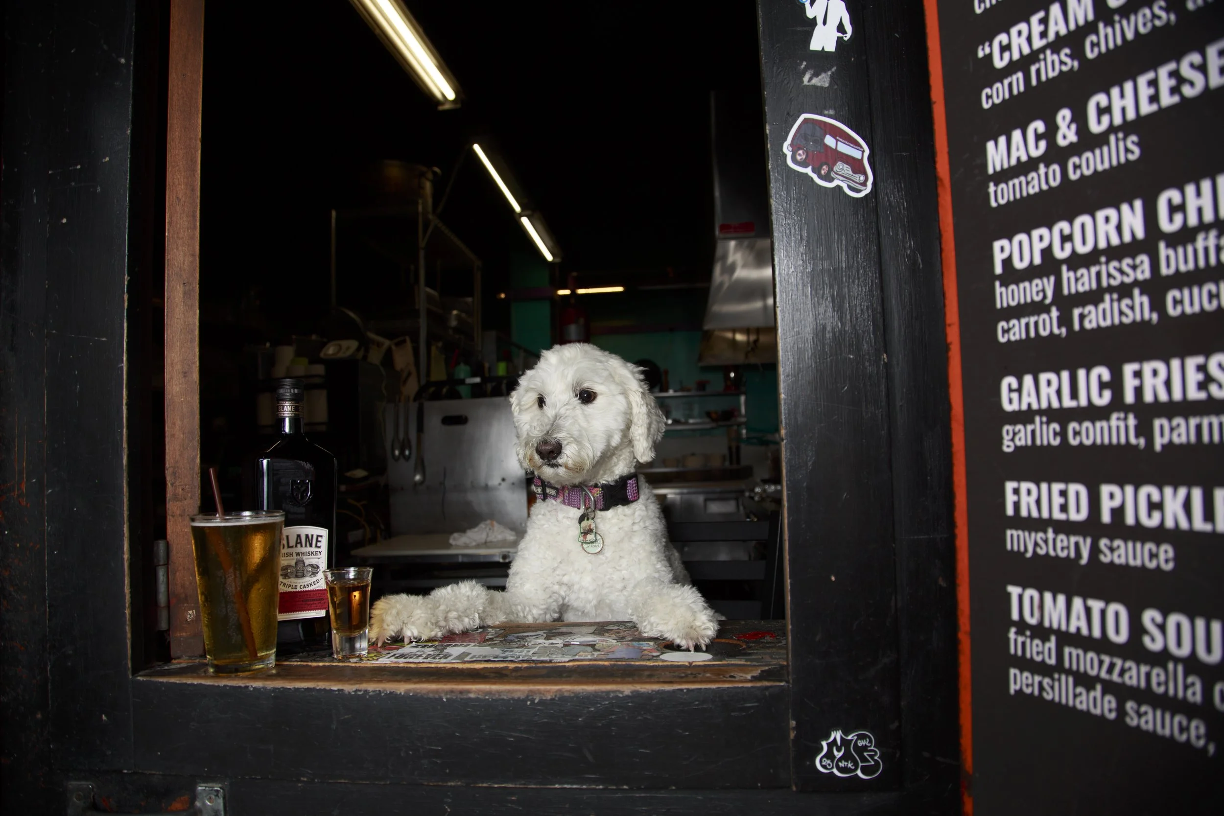 Dog Calendar_Joey_Echo-4126.jpg