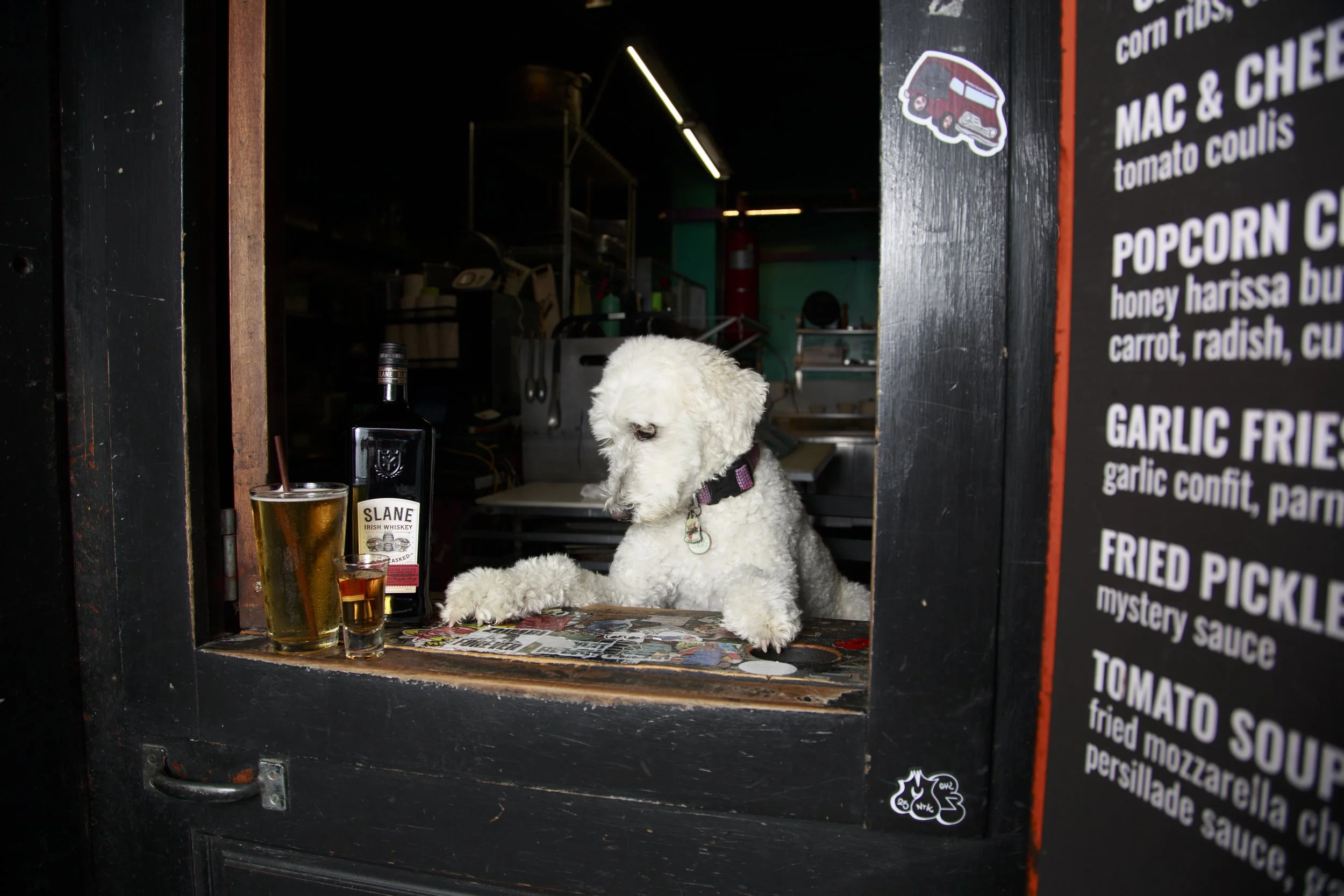 Dog Calendar_Joey_Echo-4127.jpg