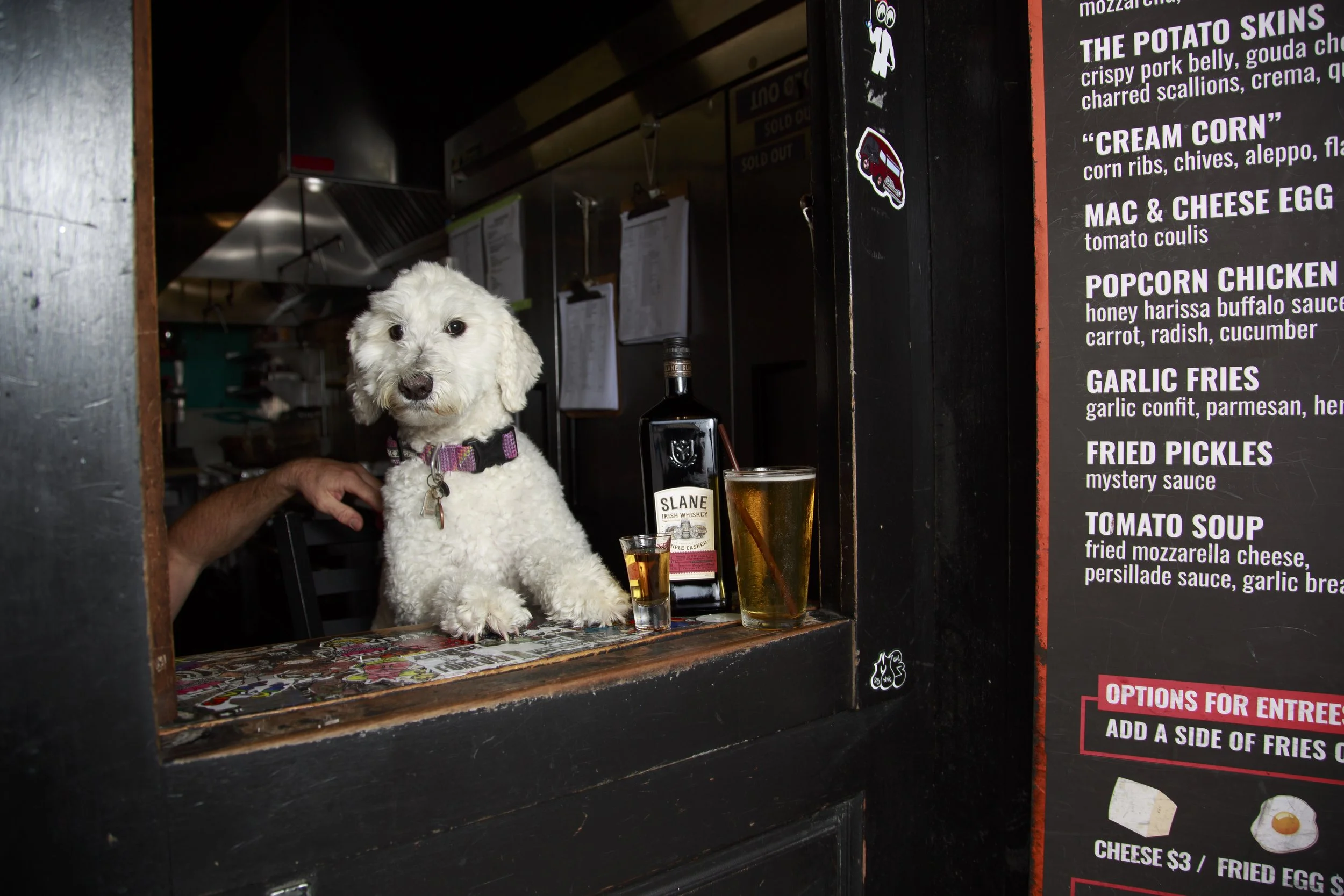 Dog Calendar_Joey_Echo-4128.jpg