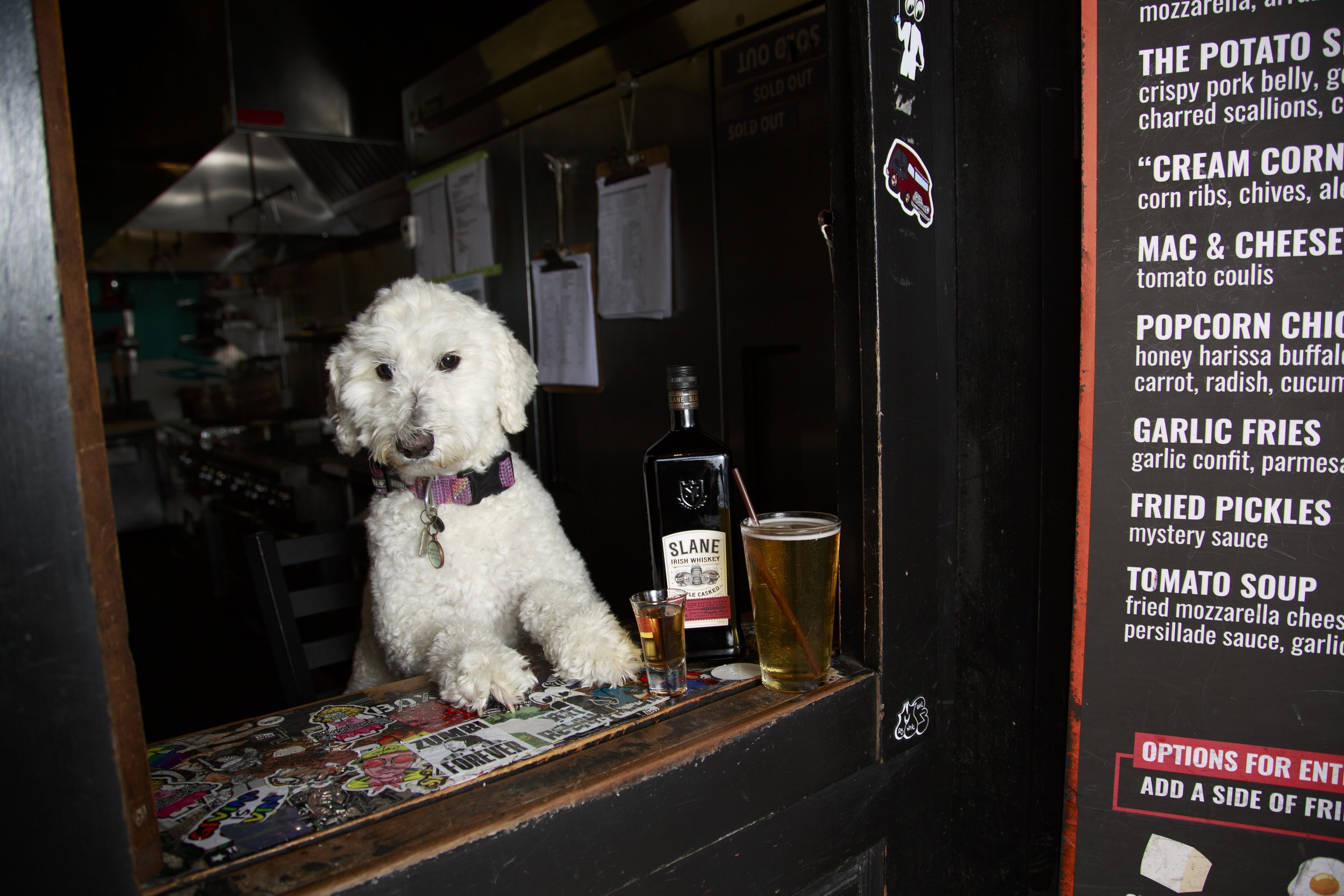 Dog Calendar_Joey_Echo-4130.jpg