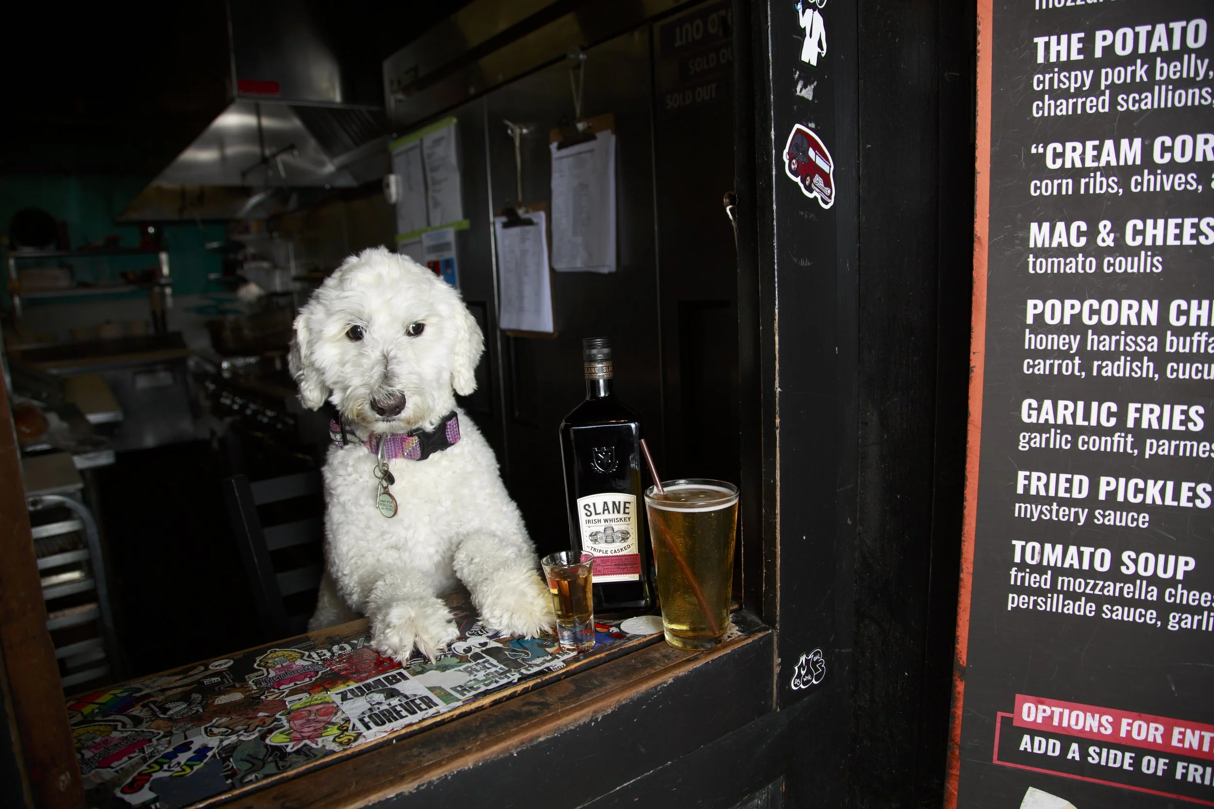 Dog Calendar_Joey_Echo-4134.jpg