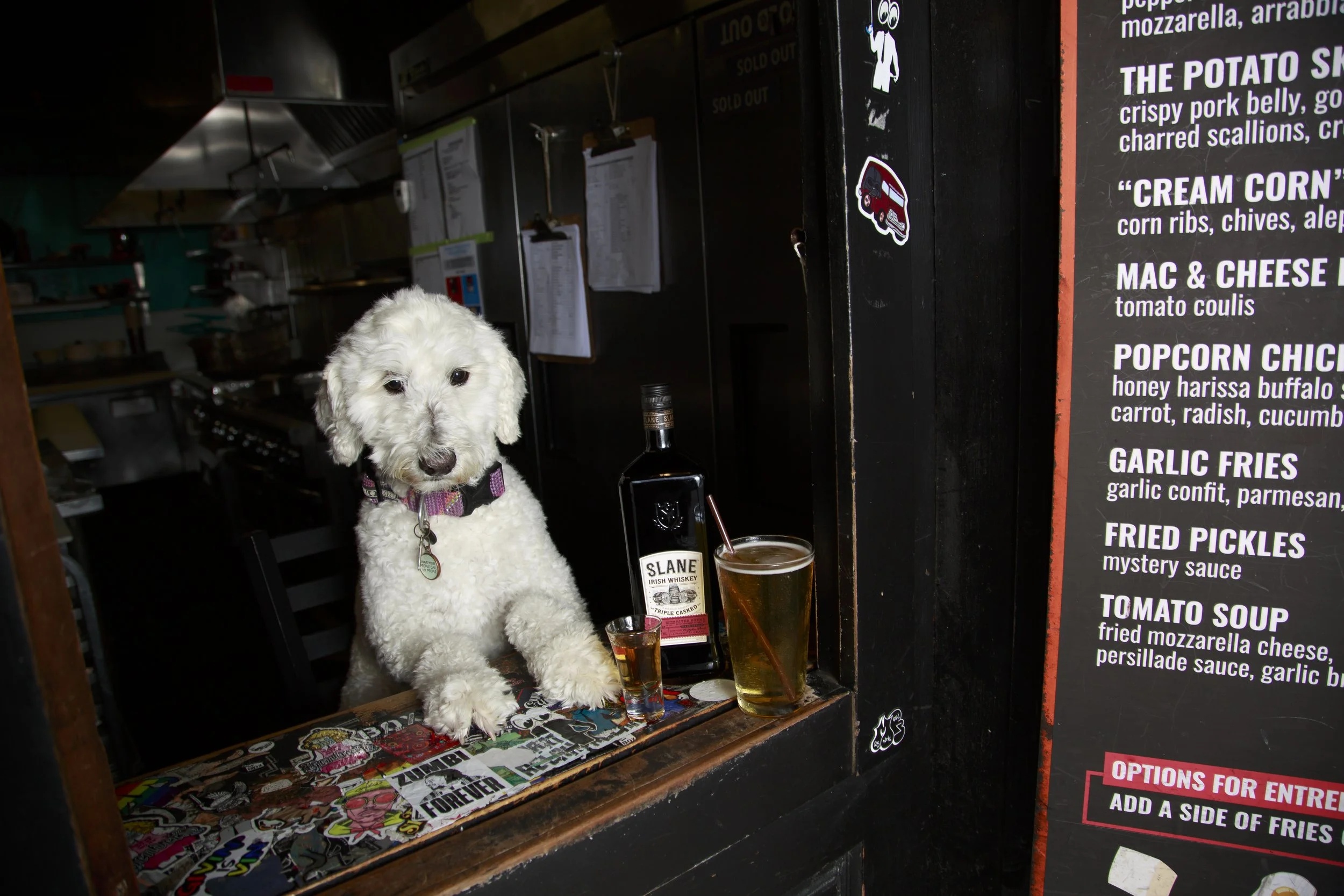 Dog Calendar_Joey_Echo-4135.jpg