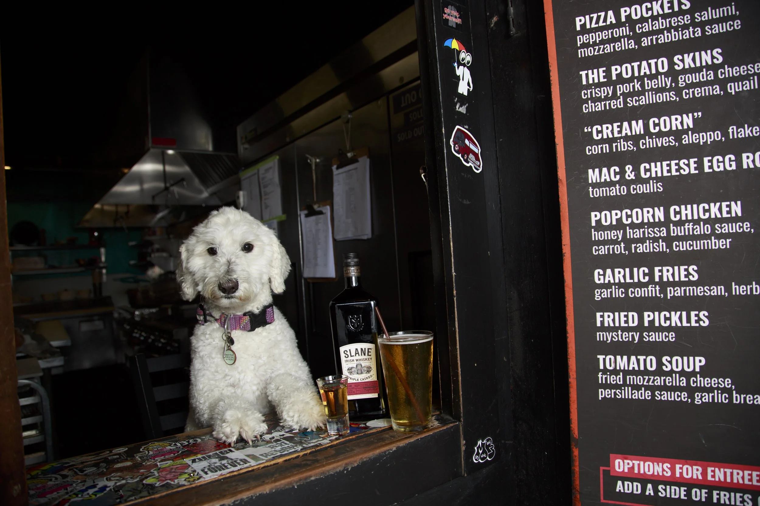 Dog Calendar_Joey_Echo-4138.jpg