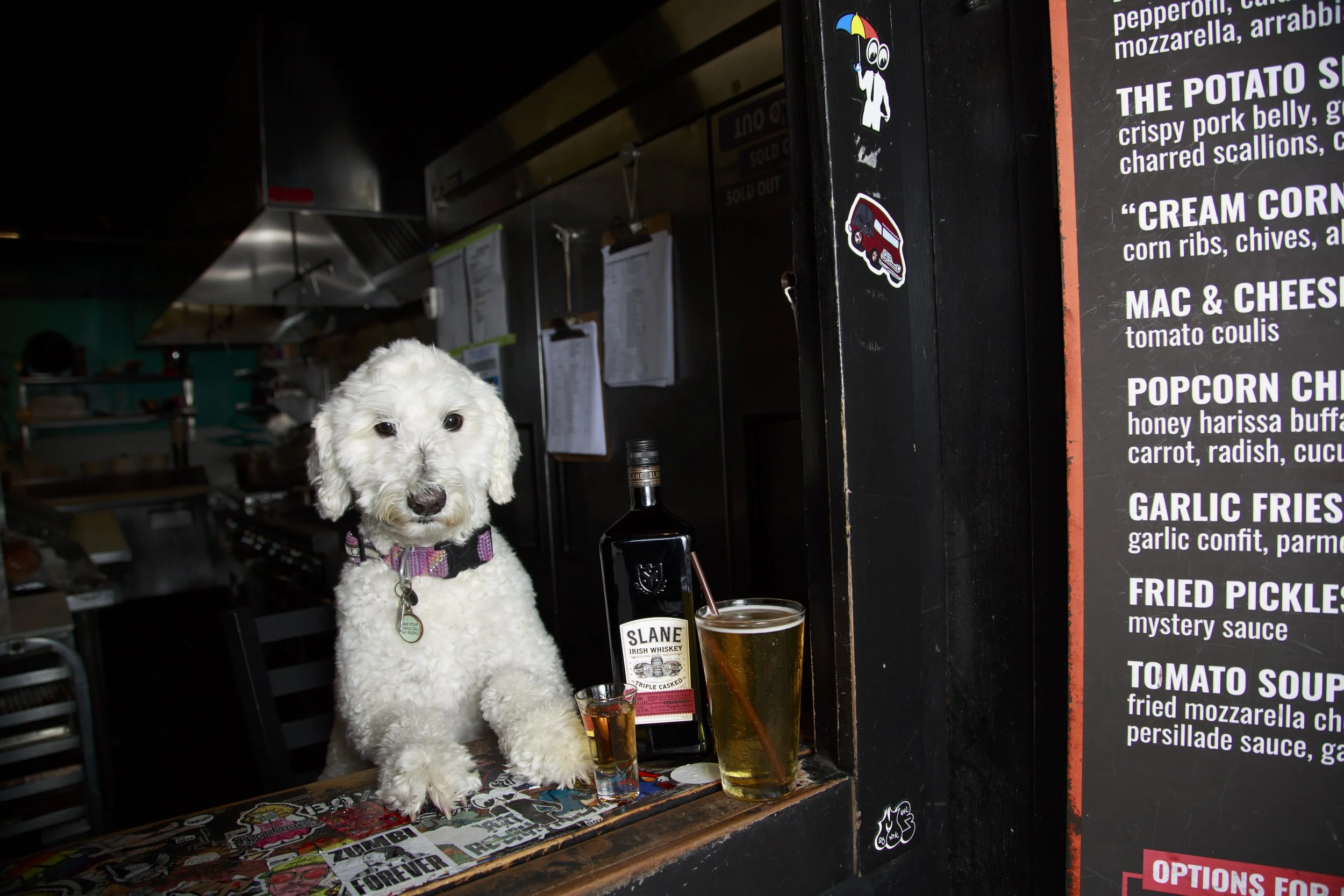 Dog Calendar_Joey_Echo-4142.jpg