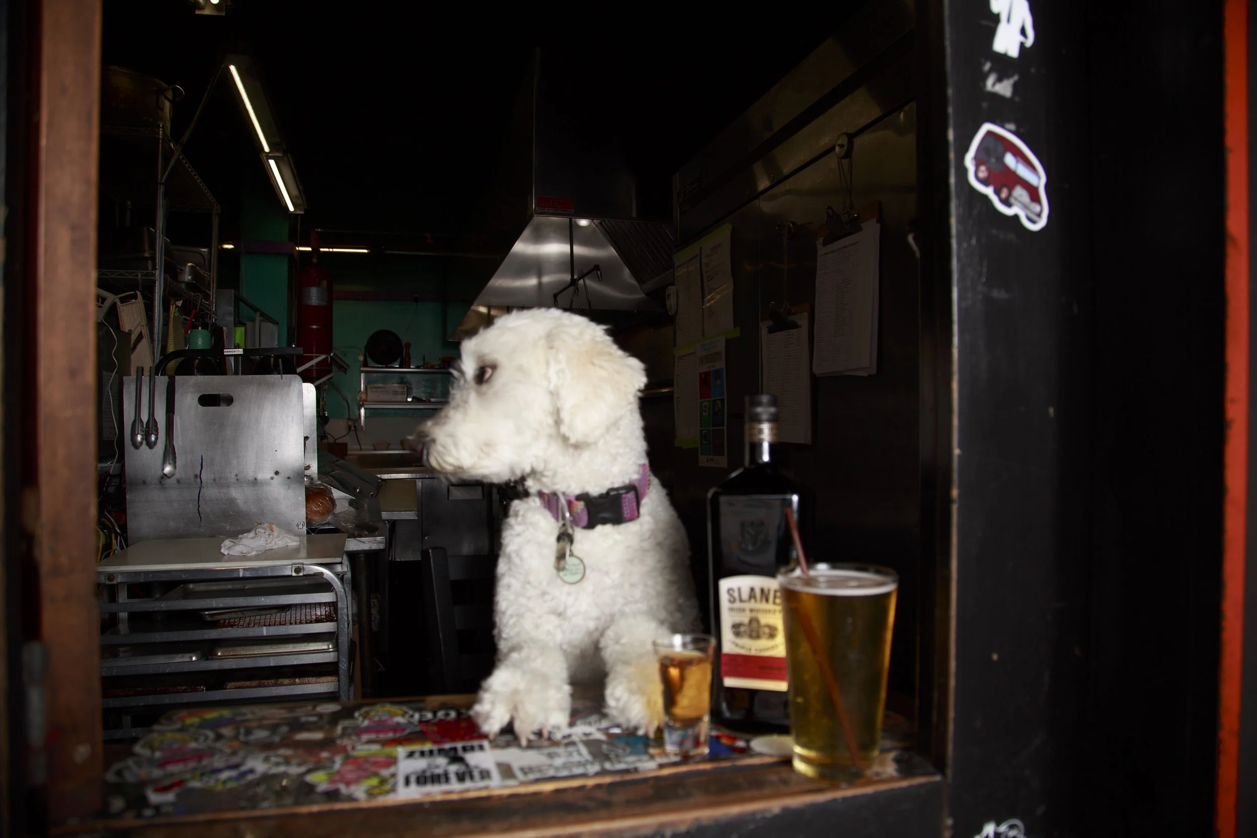 Dog Calendar_Joey_Echo-4144.jpg