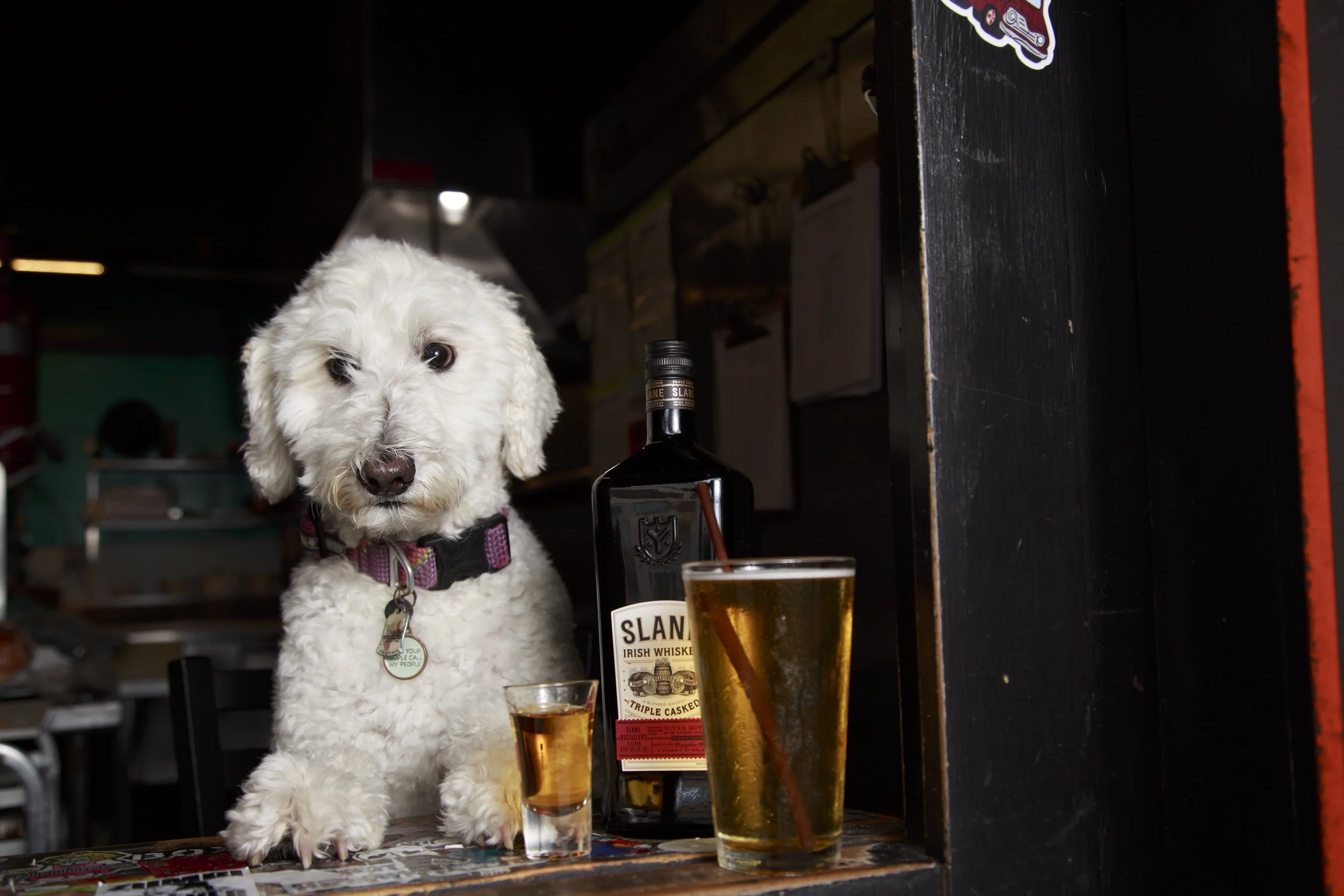 Dog Calendar_Joey_Echo-4150.jpg