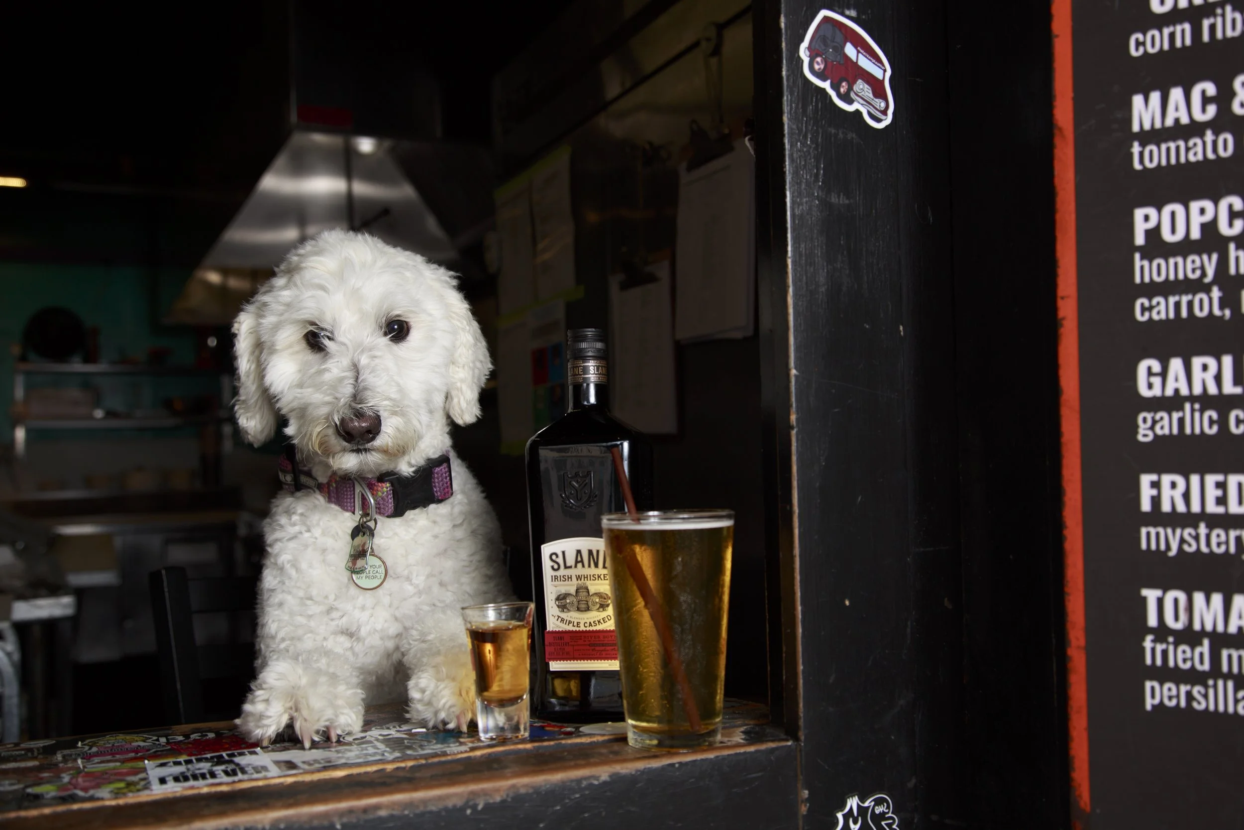 Dog Calendar_Joey_Echo-4151.jpg