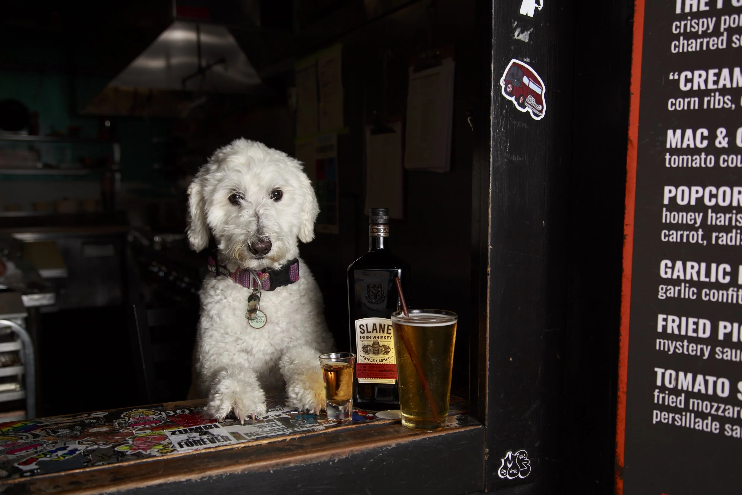 Dog Calendar_Joey_Echo-4152.jpg