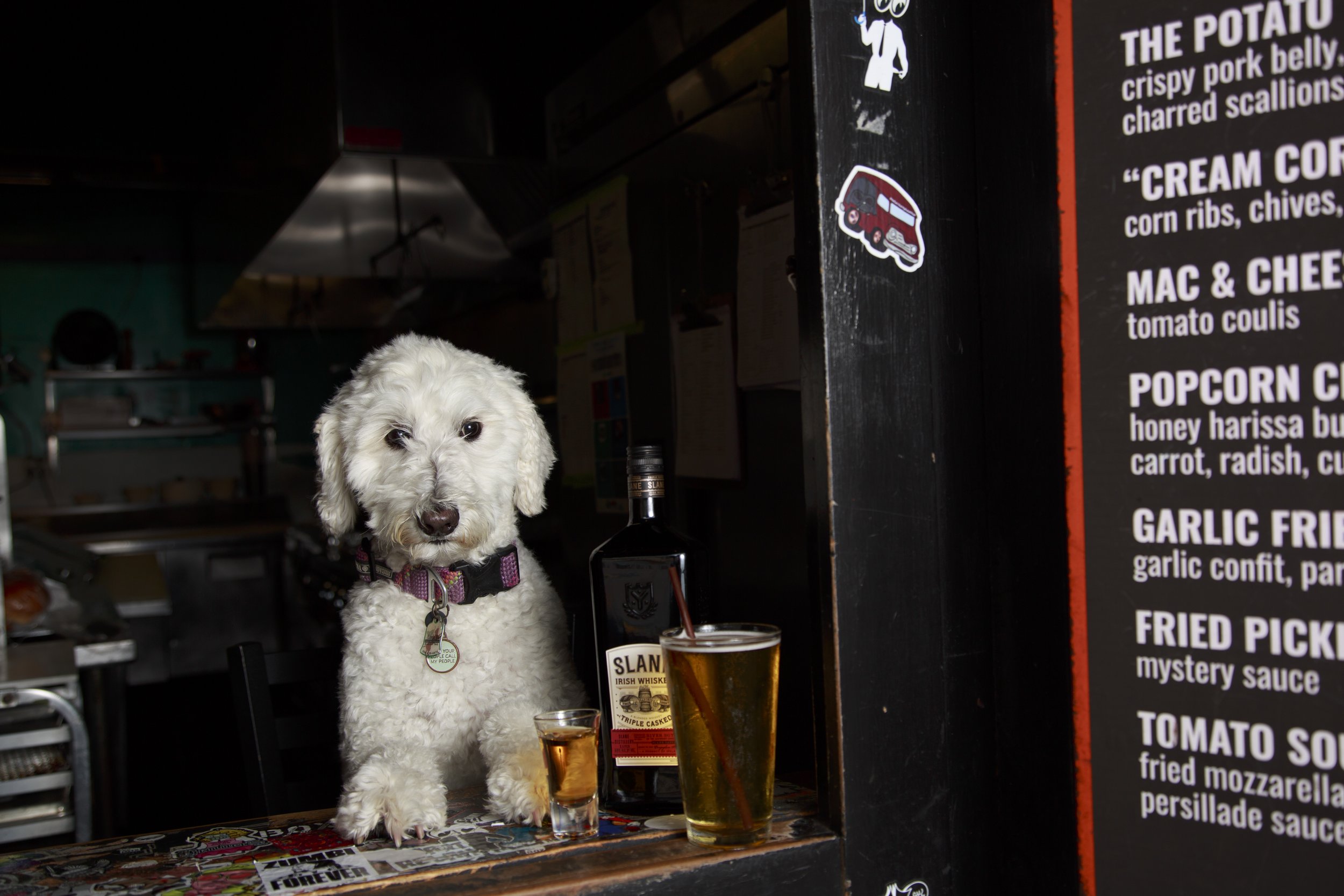 Dog Calendar_Joey_Echo-4153.jpg