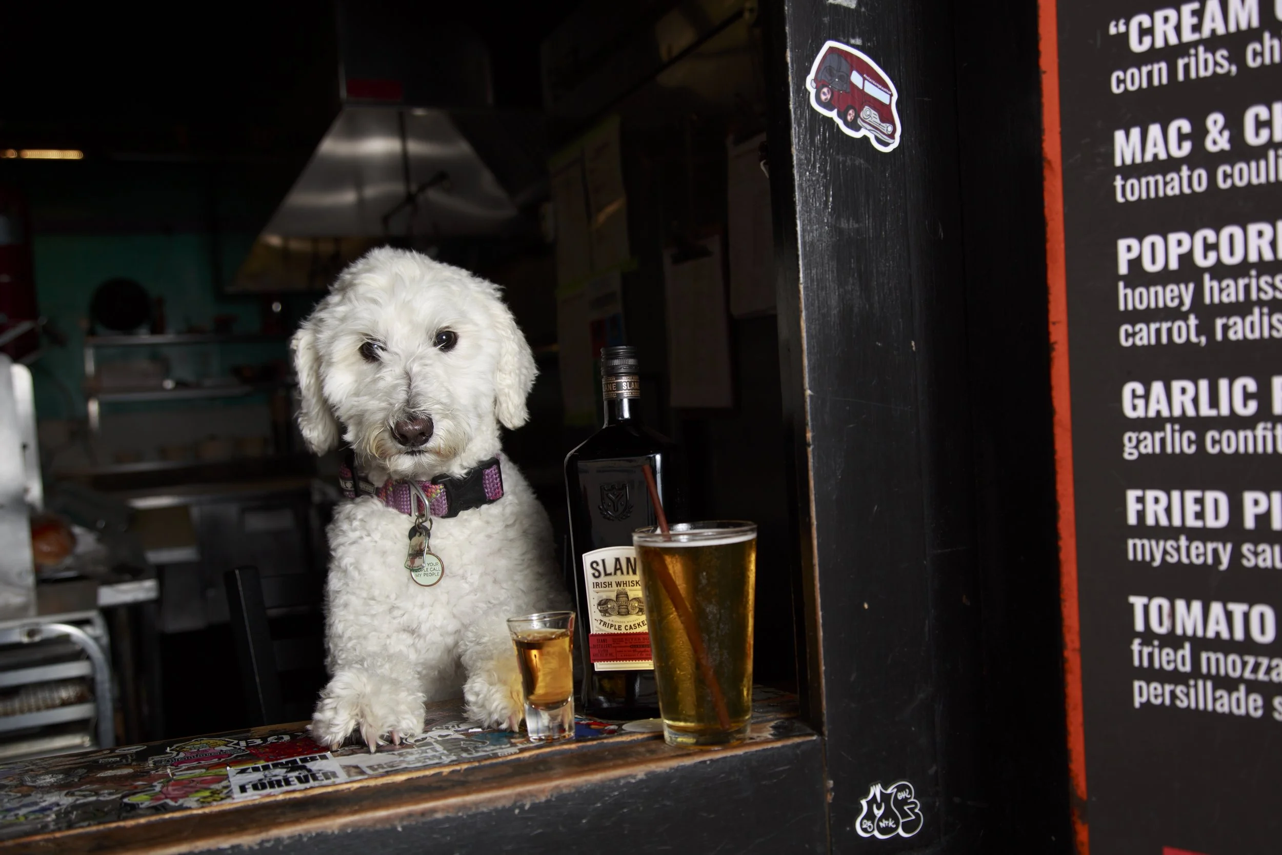 Dog Calendar_Joey_Echo-4154.jpg