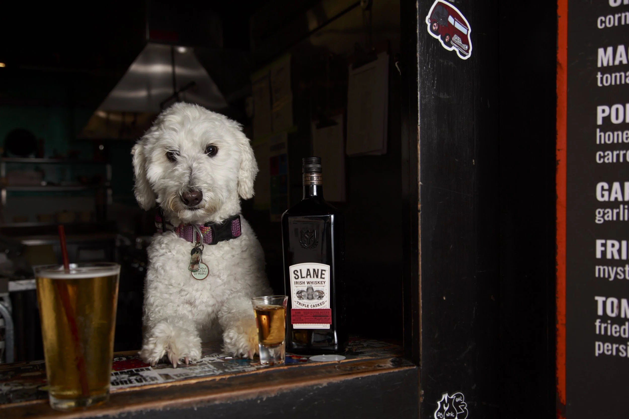 Dog Calendar_Joey_Echo-4156.jpg