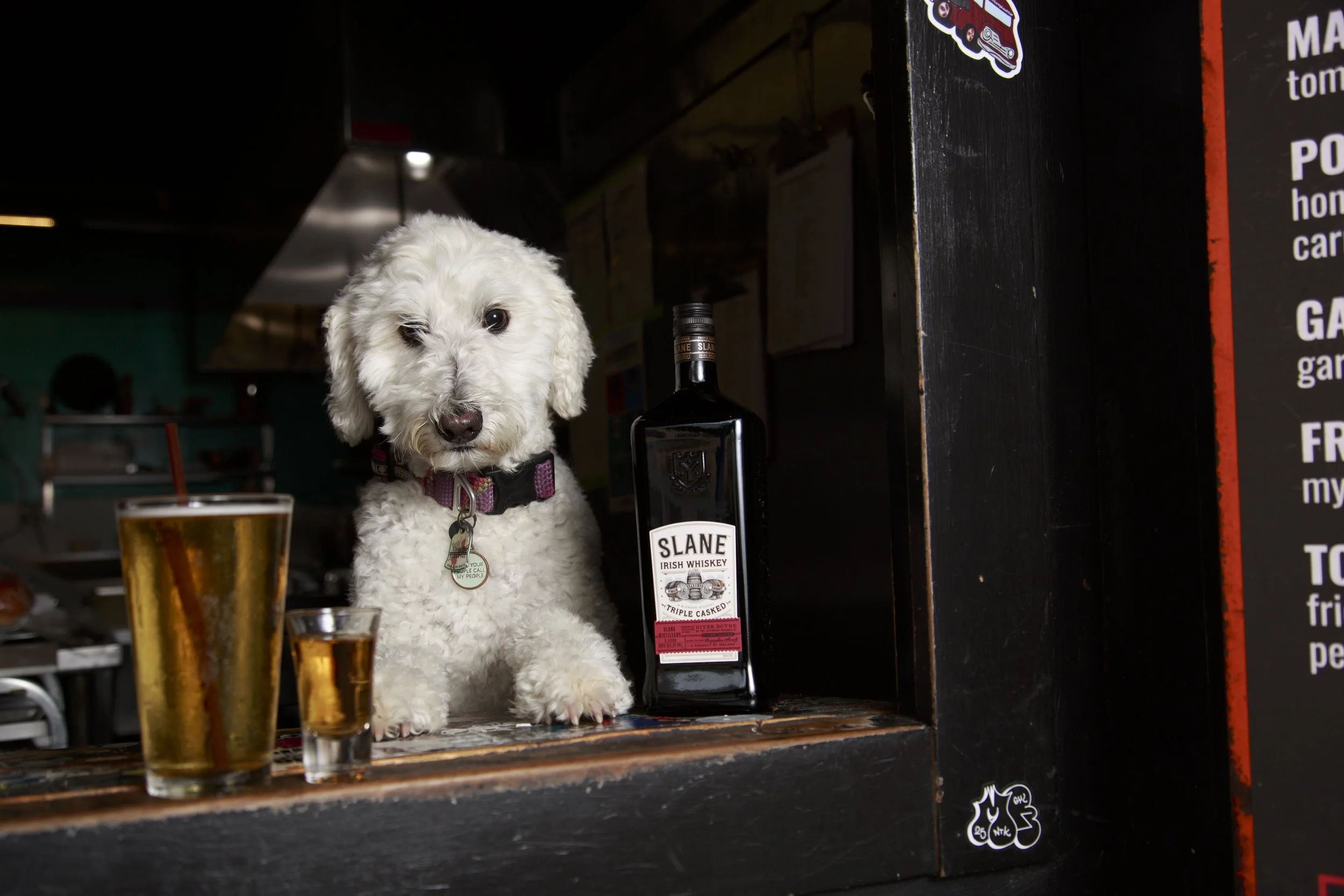 Dog Calendar_Joey_Echo-4157.jpg