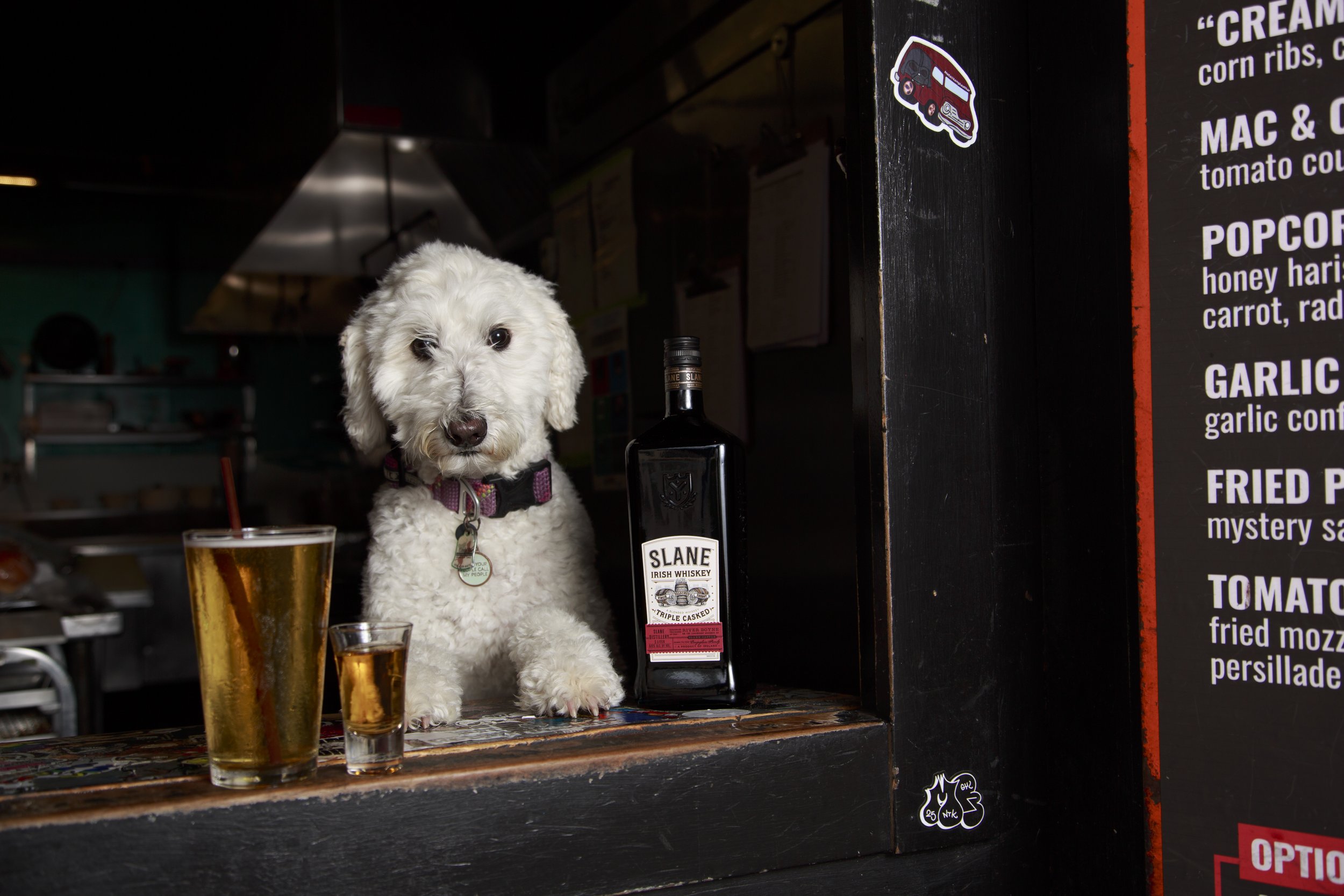 Dog Calendar_Joey_Echo-4158.jpg