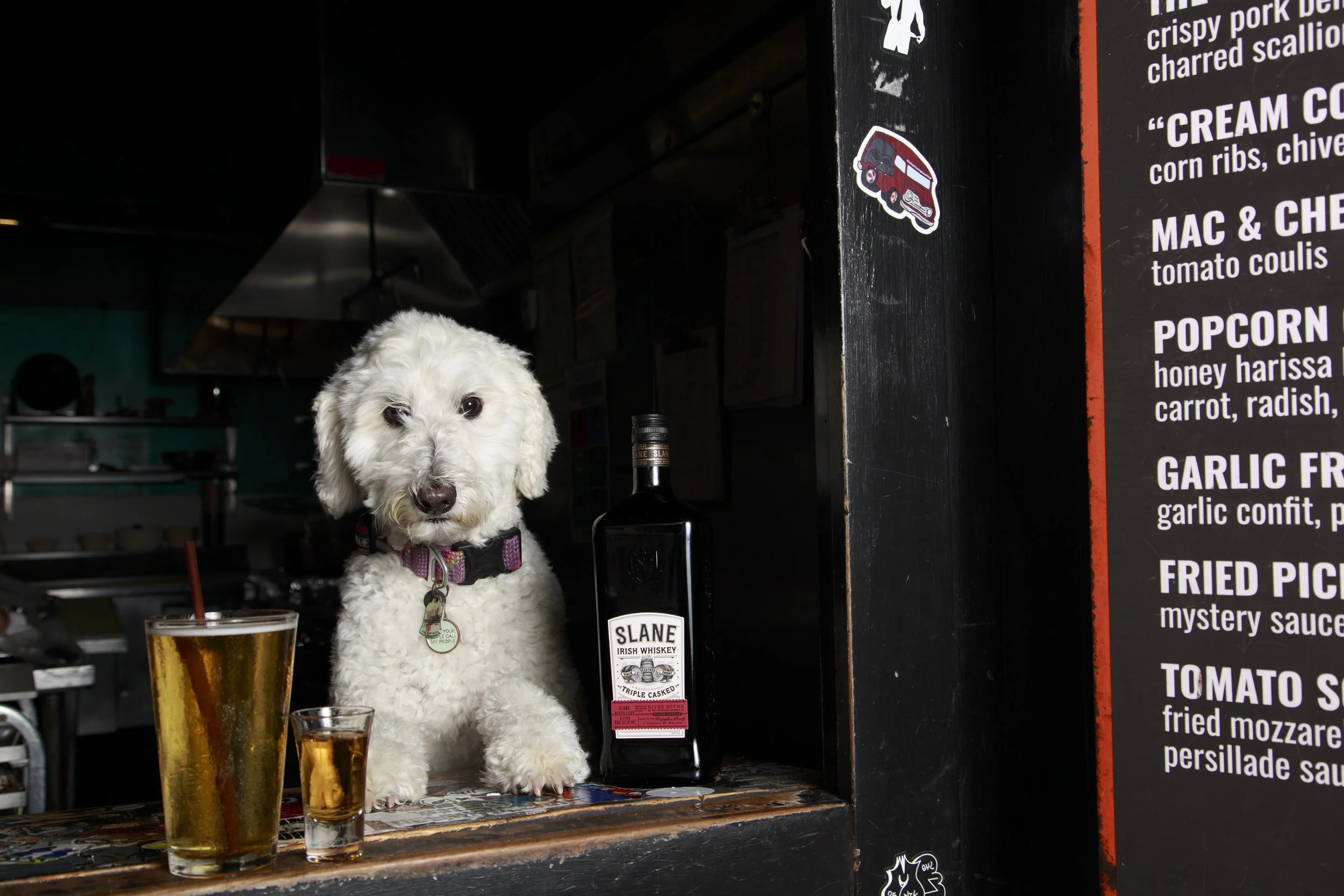 Dog Calendar_Joey_Echo-4159.jpg