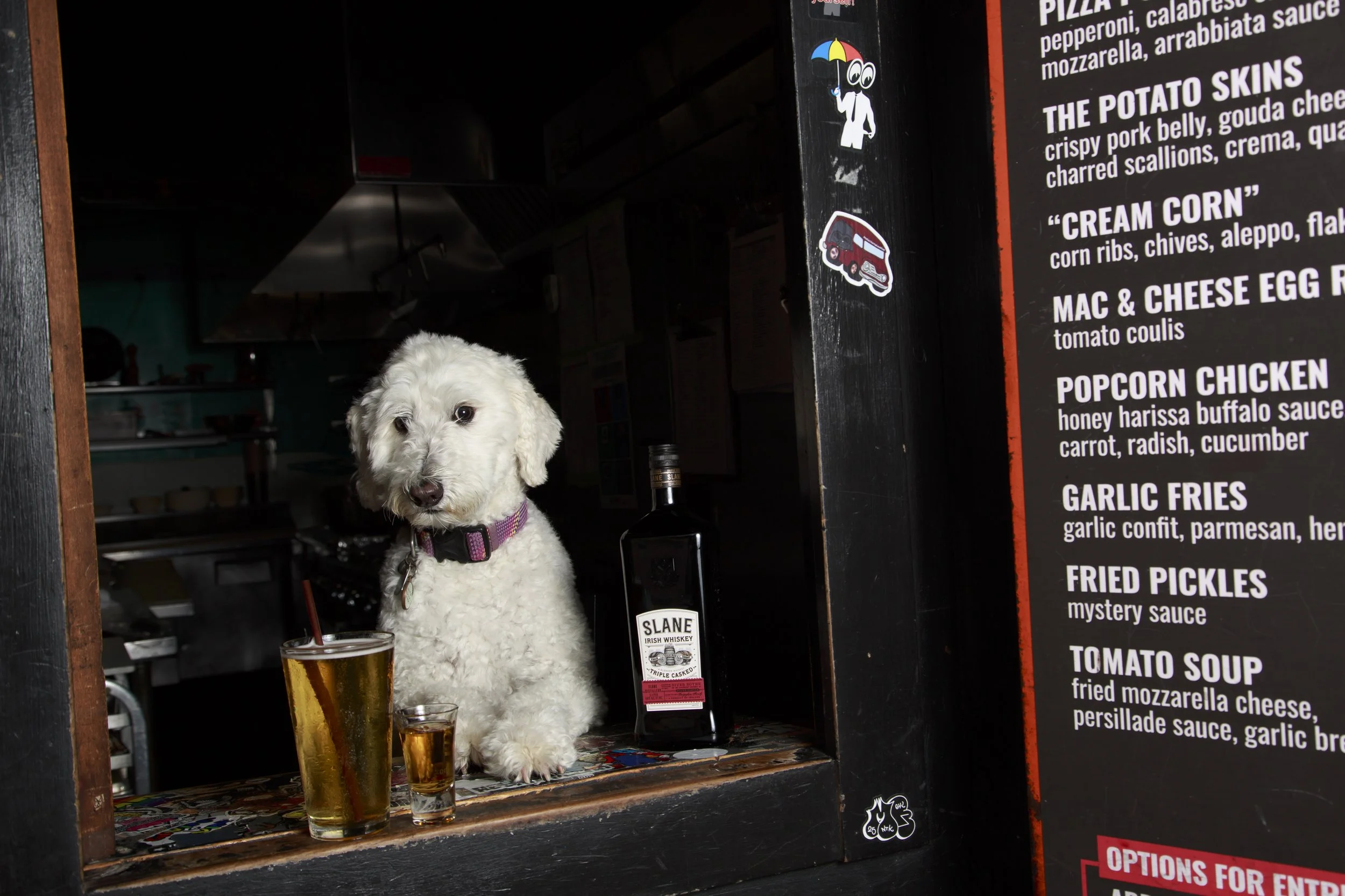 Dog Calendar_Joey_Echo-4162.jpg