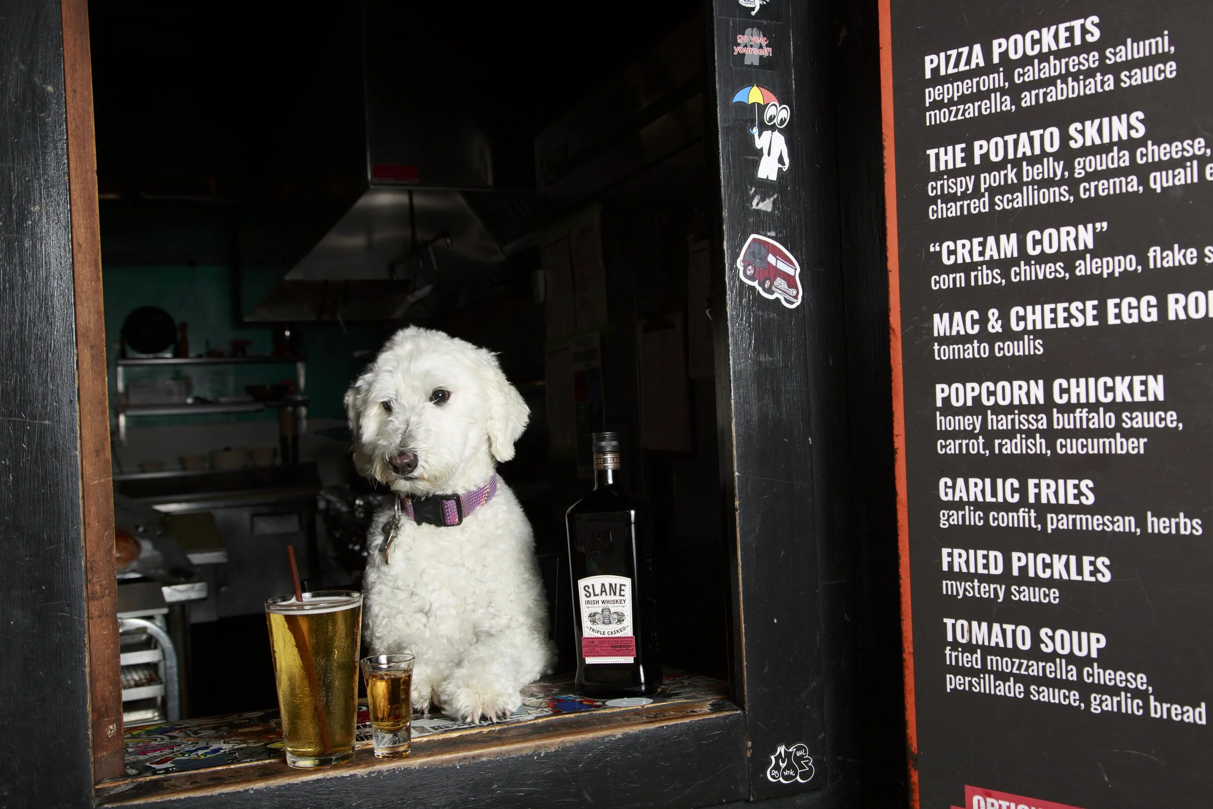 Dog Calendar_Joey_Echo-4164.jpg