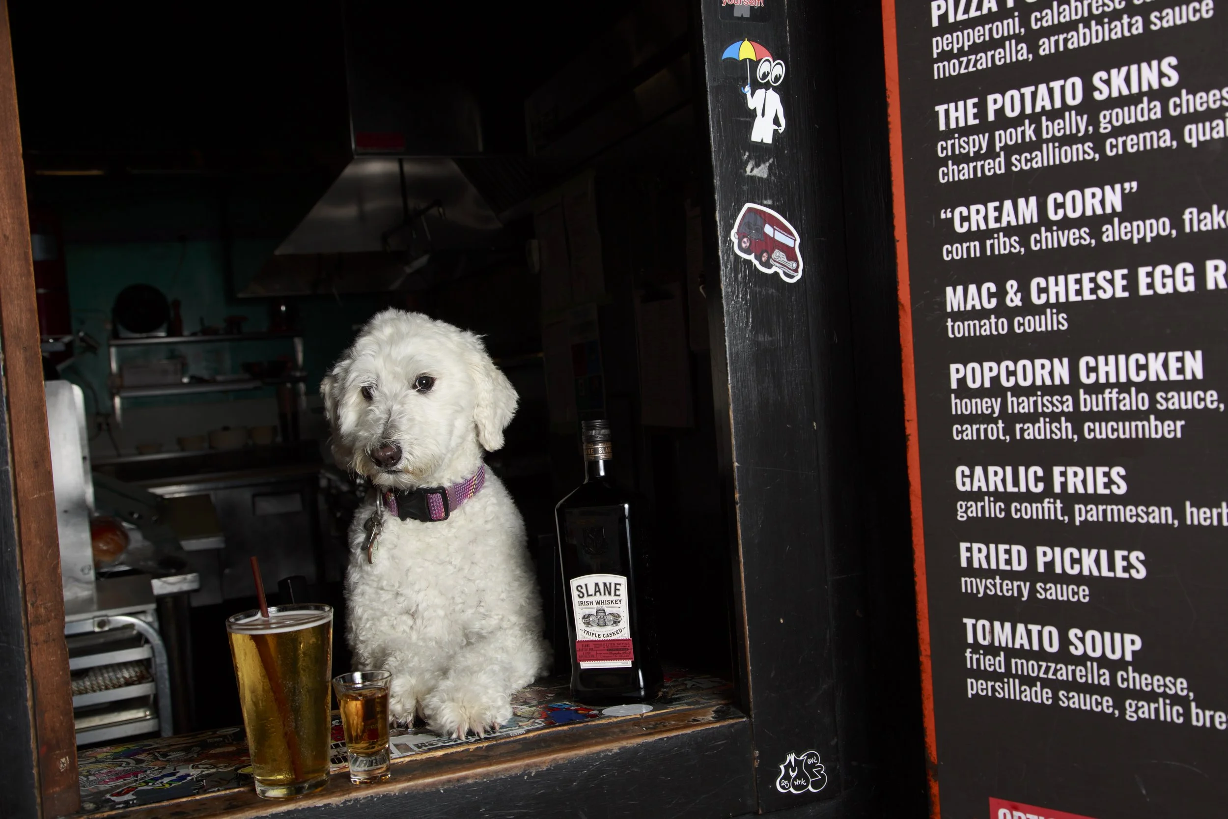 Dog Calendar_Joey_Echo-4165.jpg