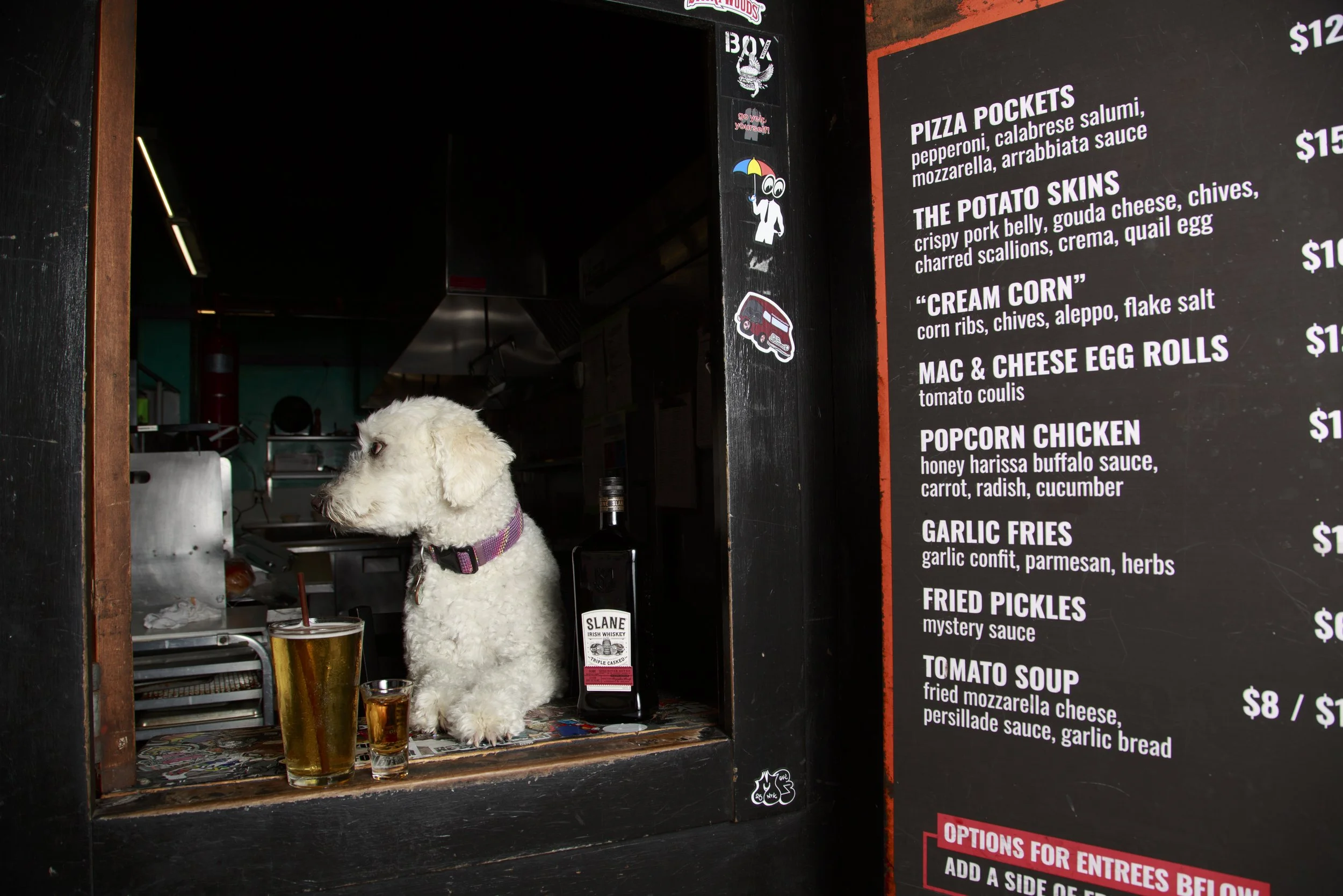 Dog Calendar_Joey_Echo-4167.jpg