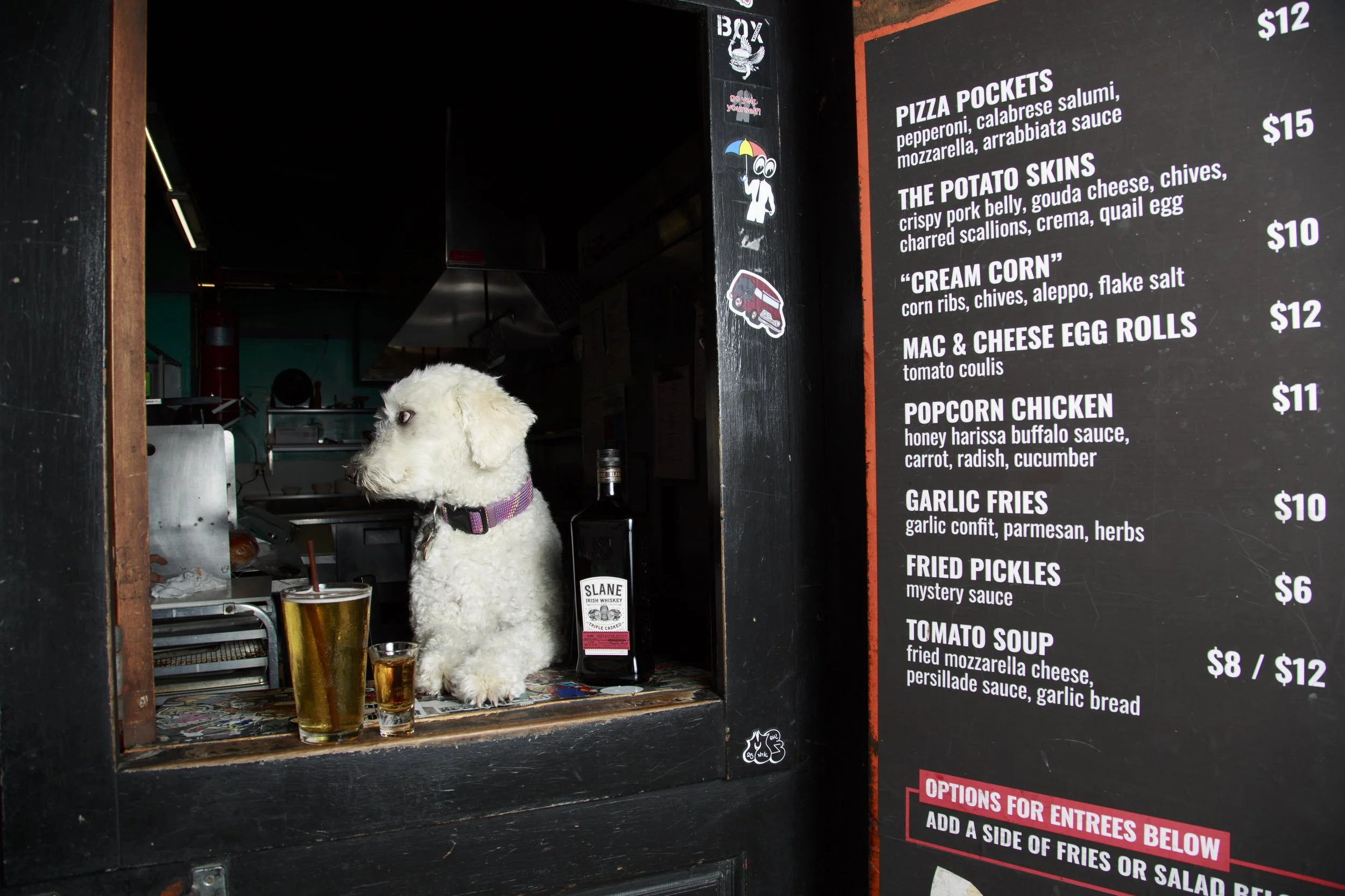 Dog Calendar_Joey_Echo-4168.jpg