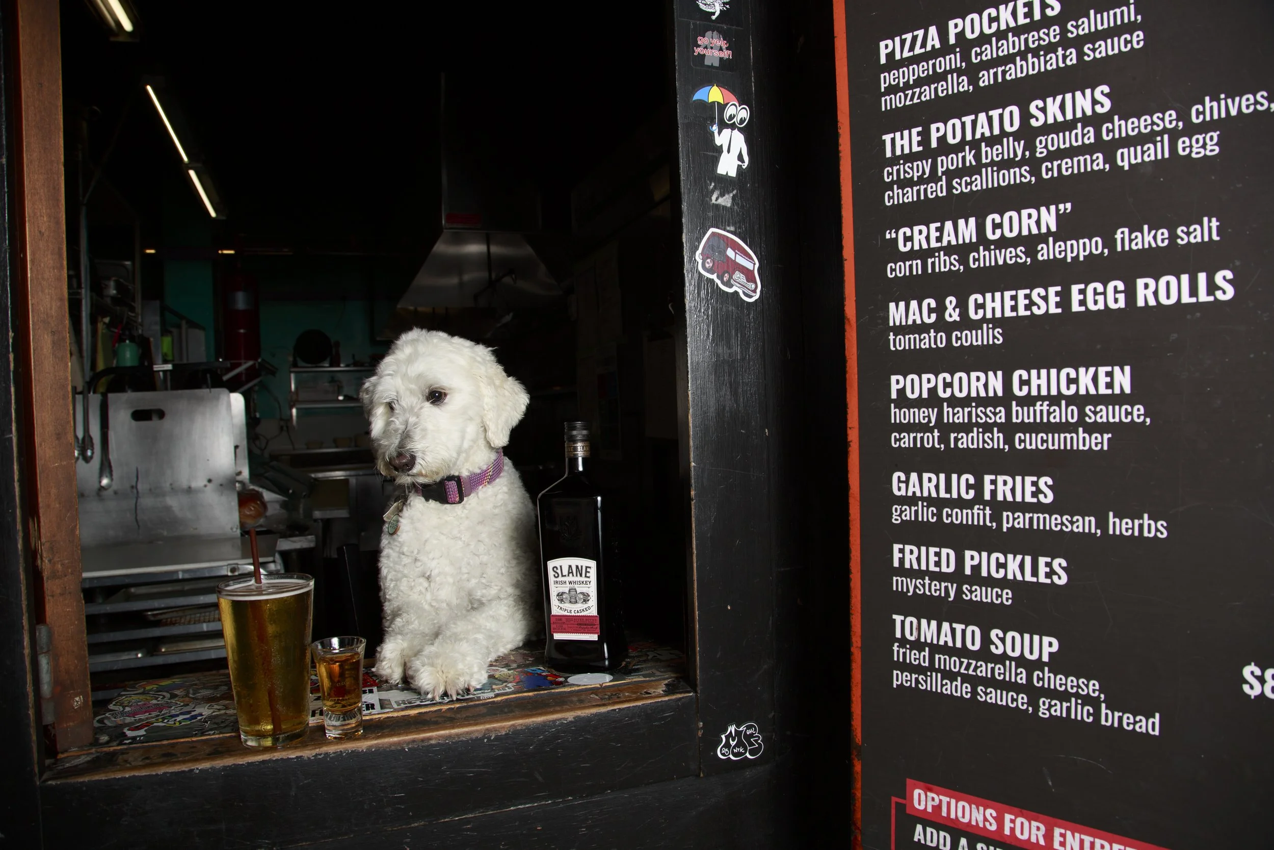 Dog Calendar_Joey_Echo-4169.jpg