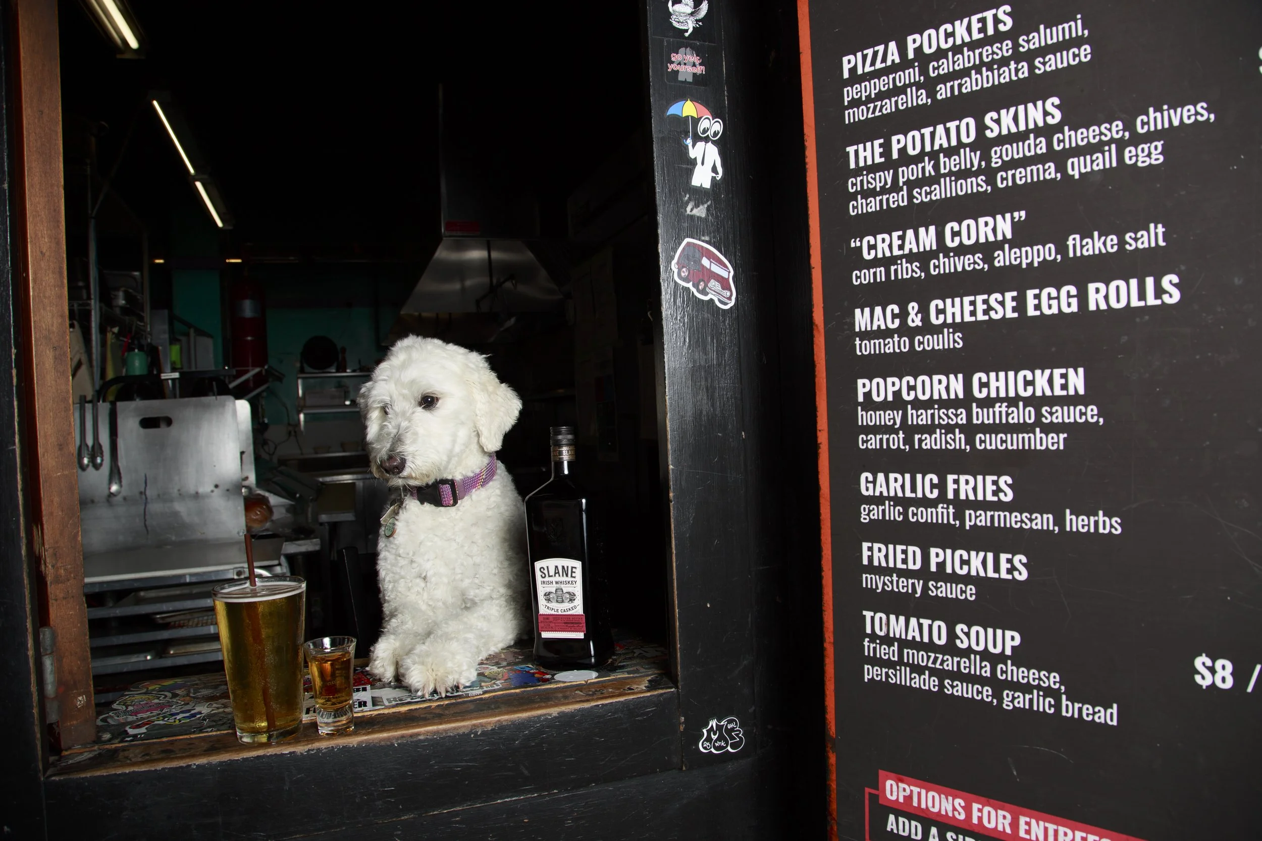 Dog Calendar_Joey_Echo-4170.jpg