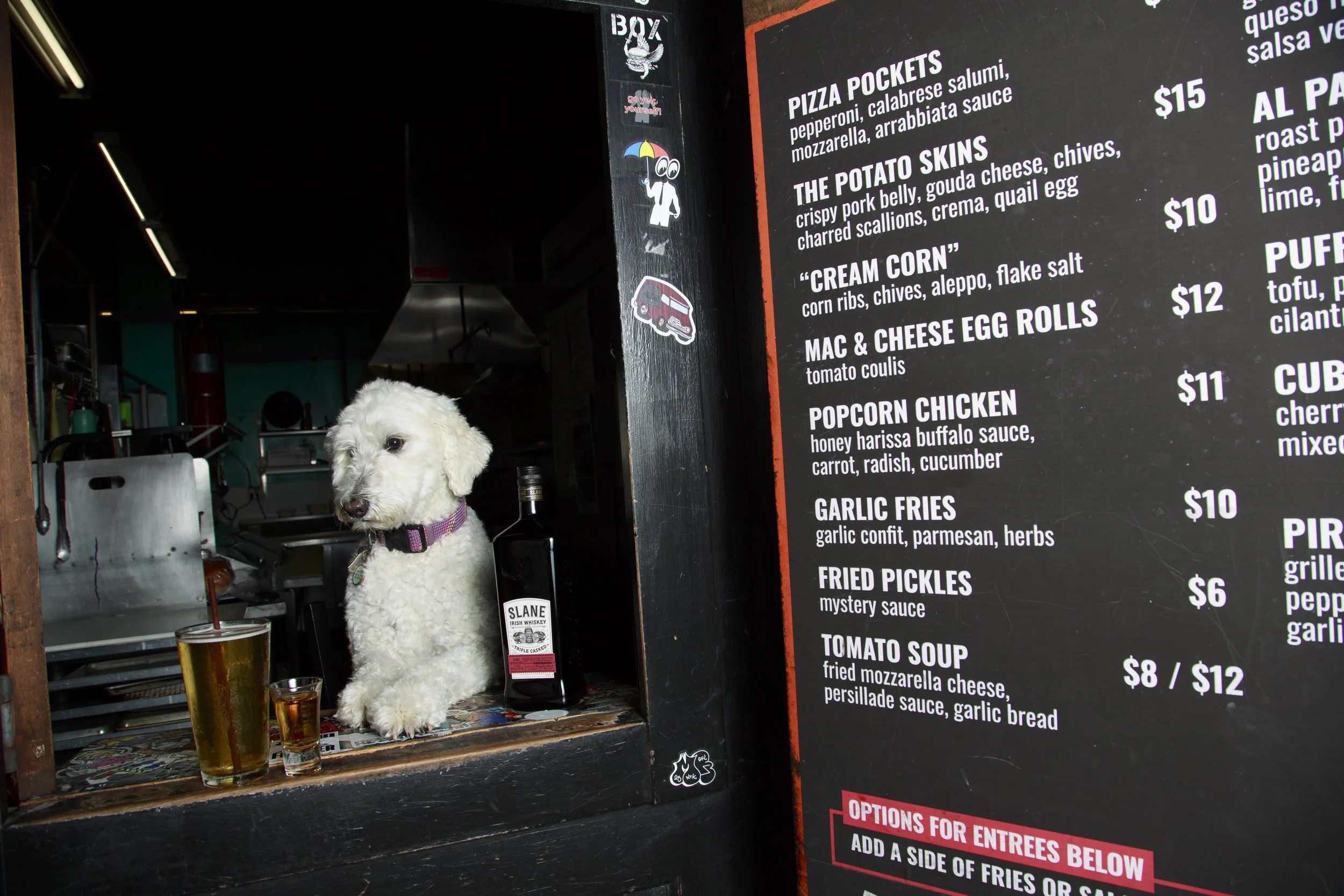 Dog Calendar_Joey_Echo-4171.jpg